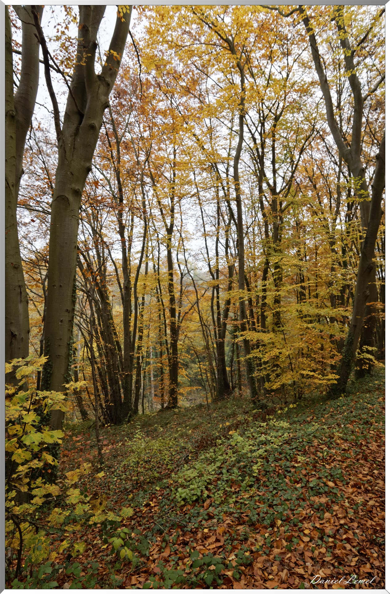 Menilles