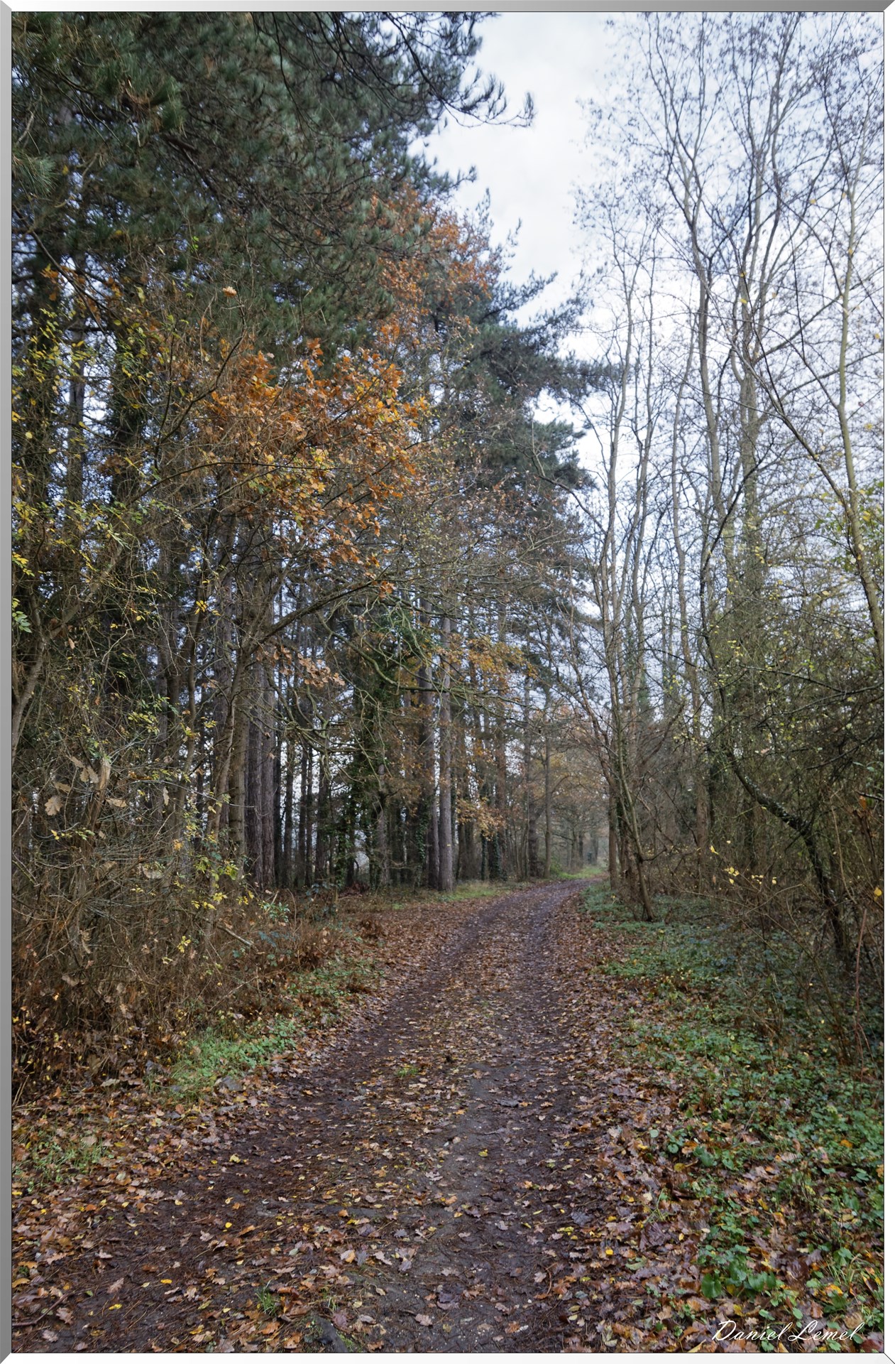 Moisson
