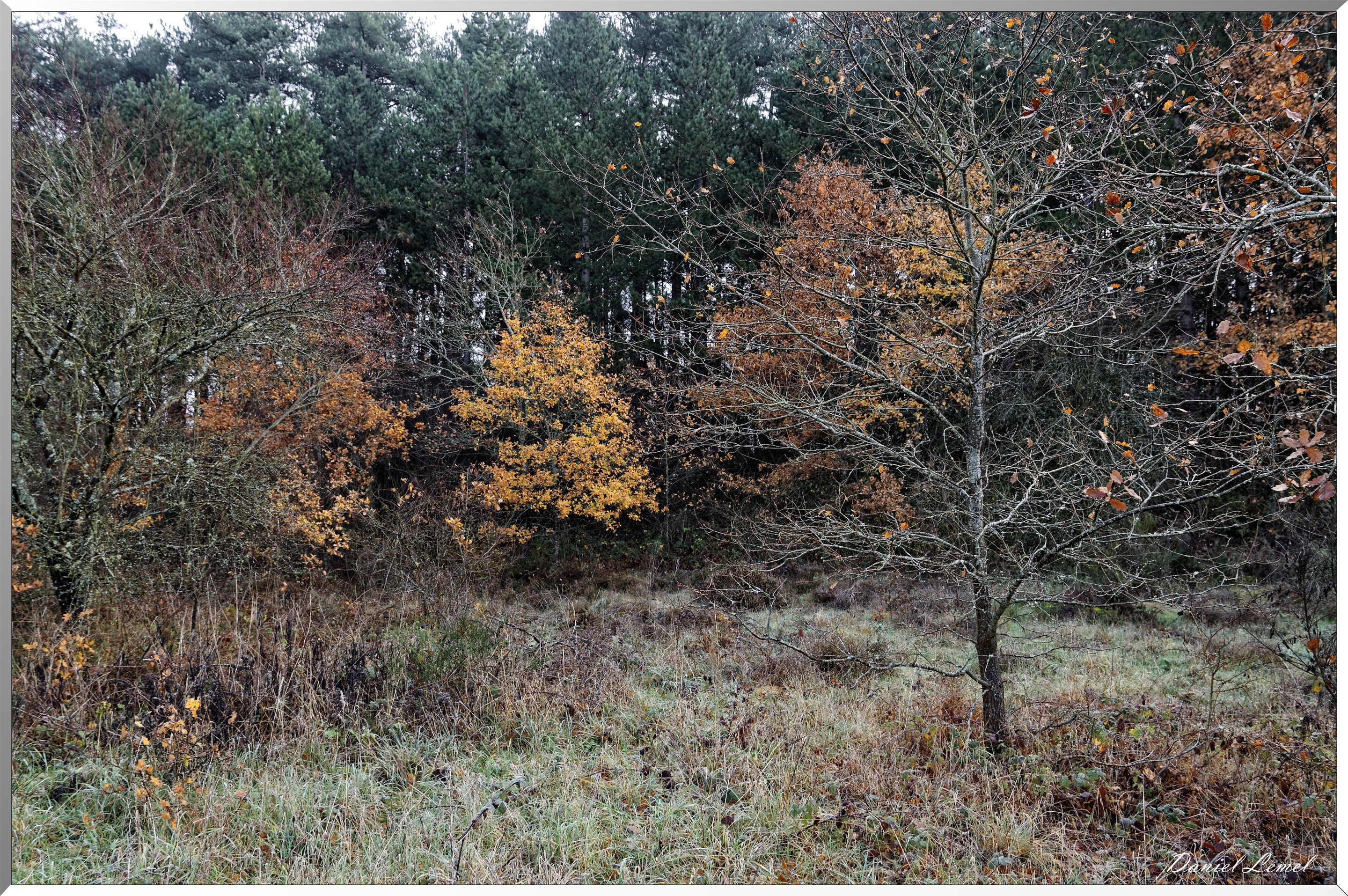 Moisson