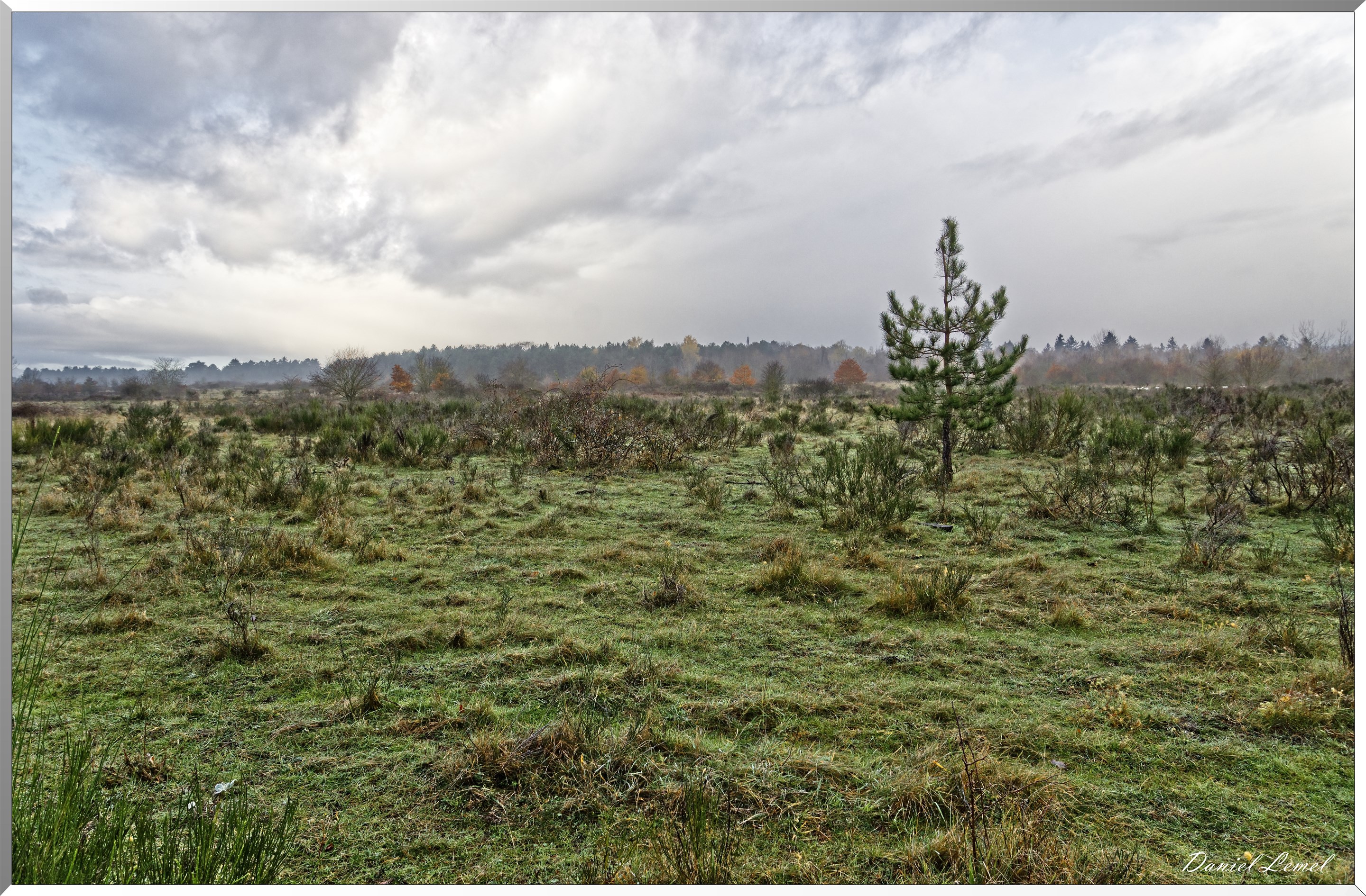 Moisson