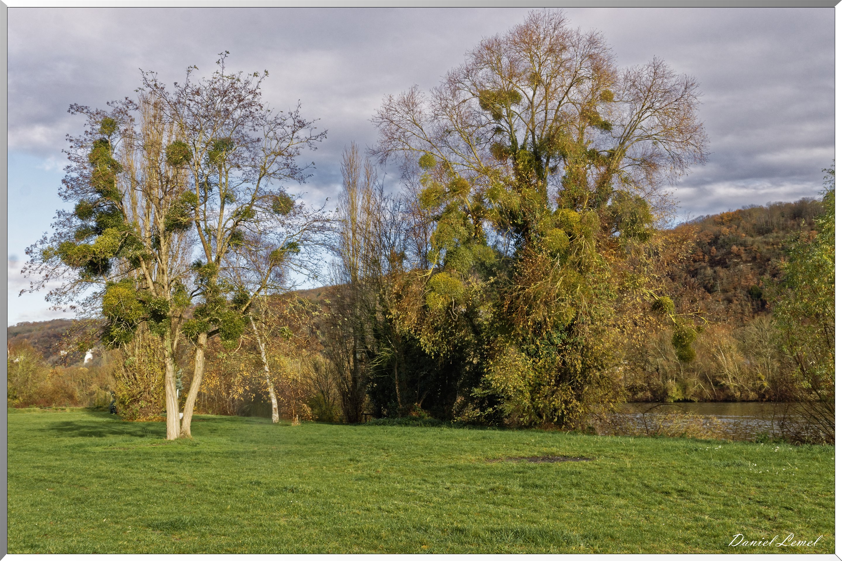 Moisson