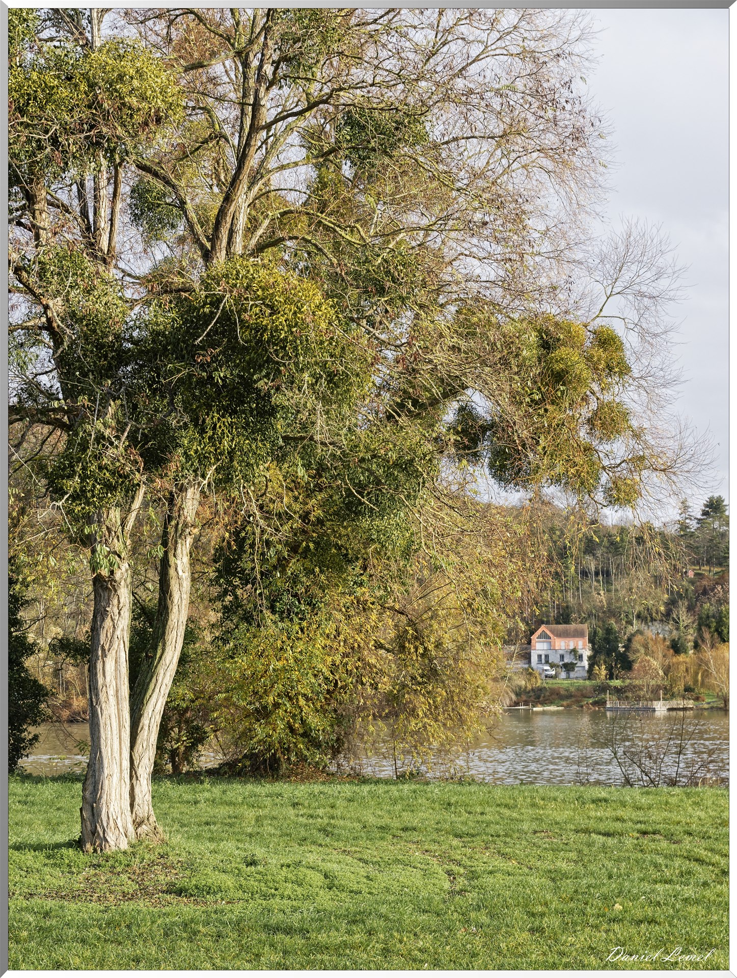 Moisson