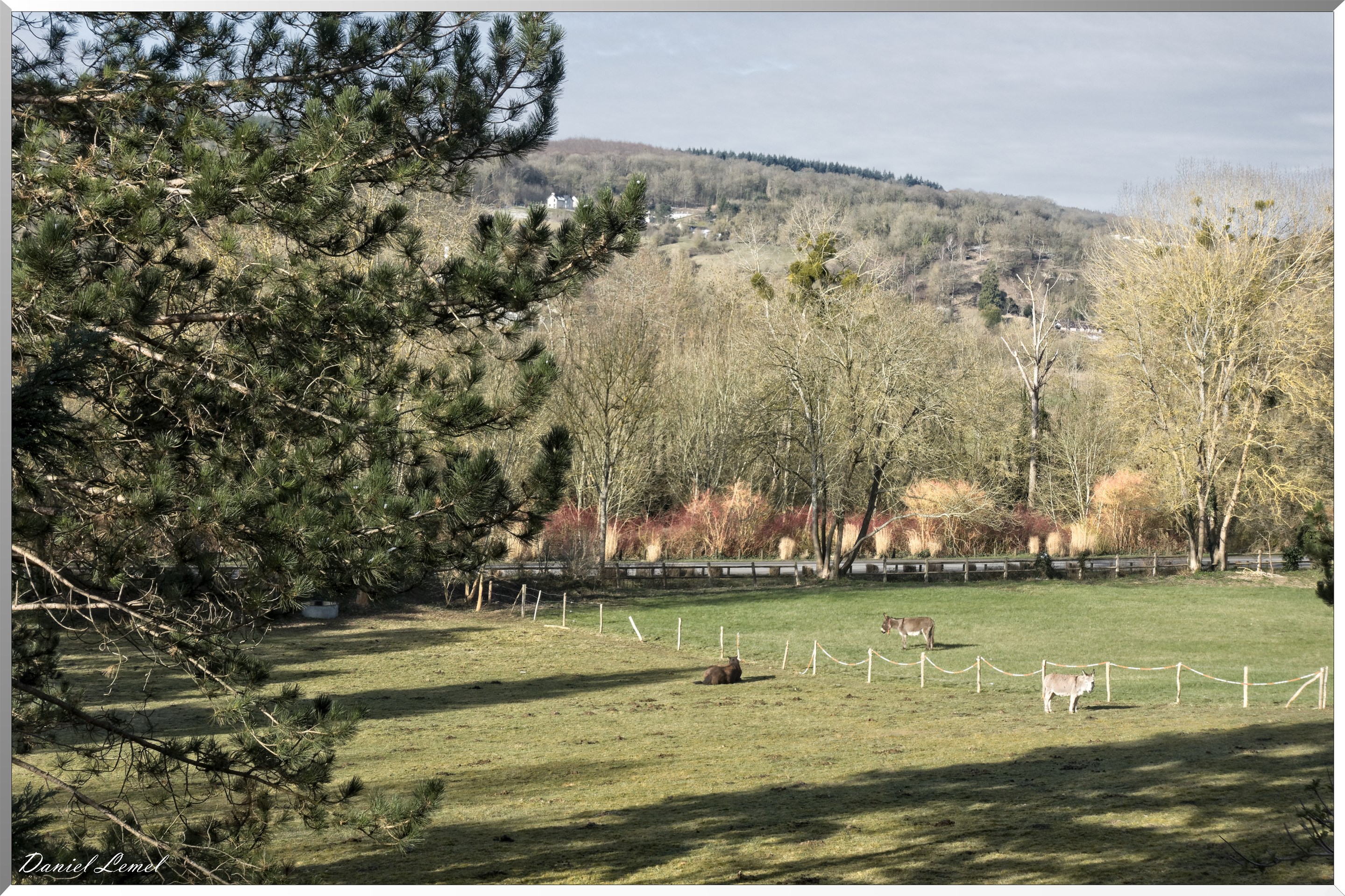 20-03-2018 - Giverny