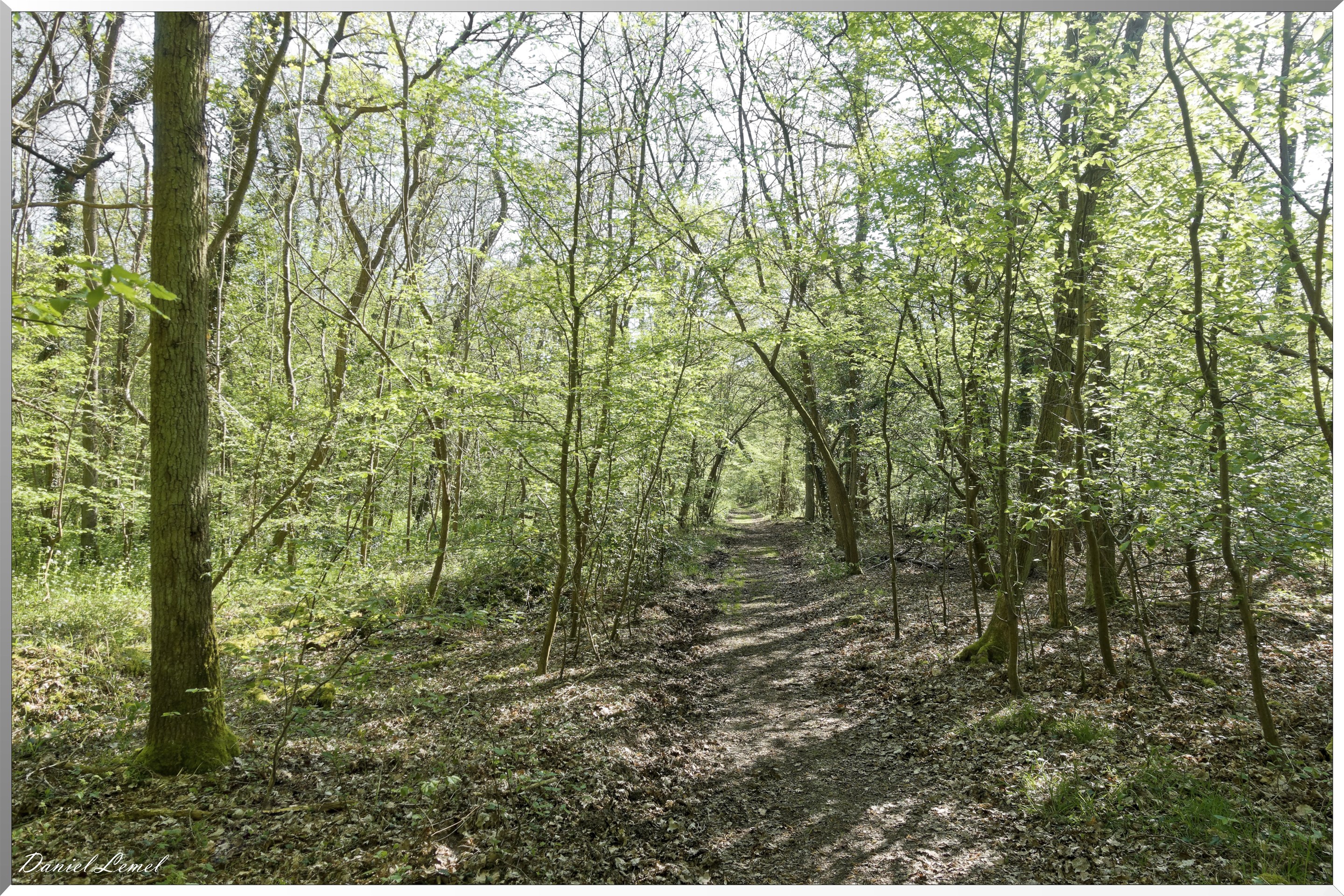 19-04-2018 - Moisson
