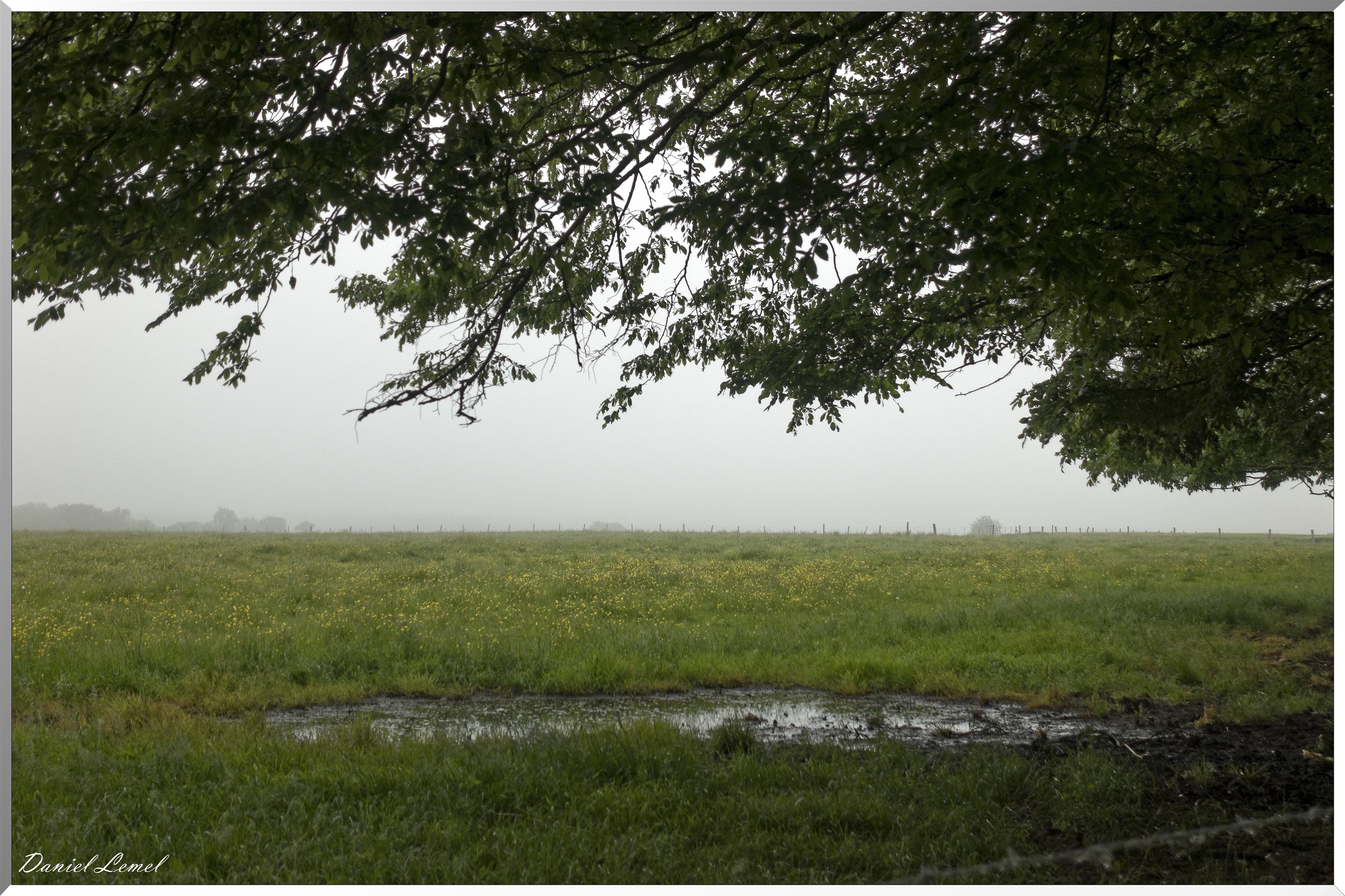 24-05-2018 - Panilleuse