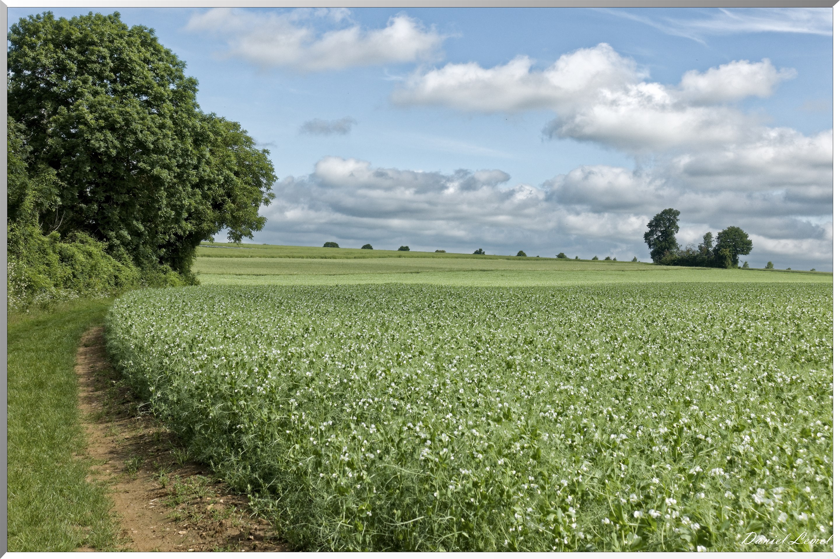 Guiry-en-Vexin