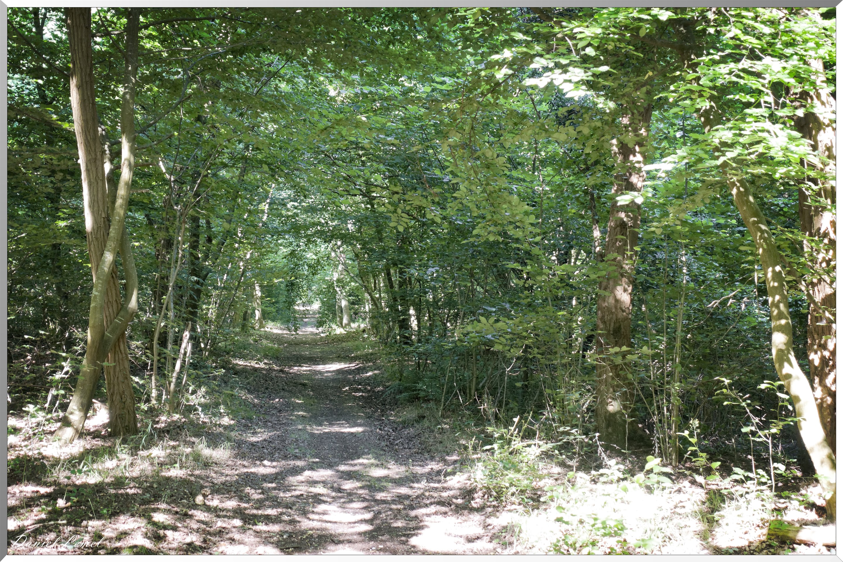 26-06-2018 - Moisson