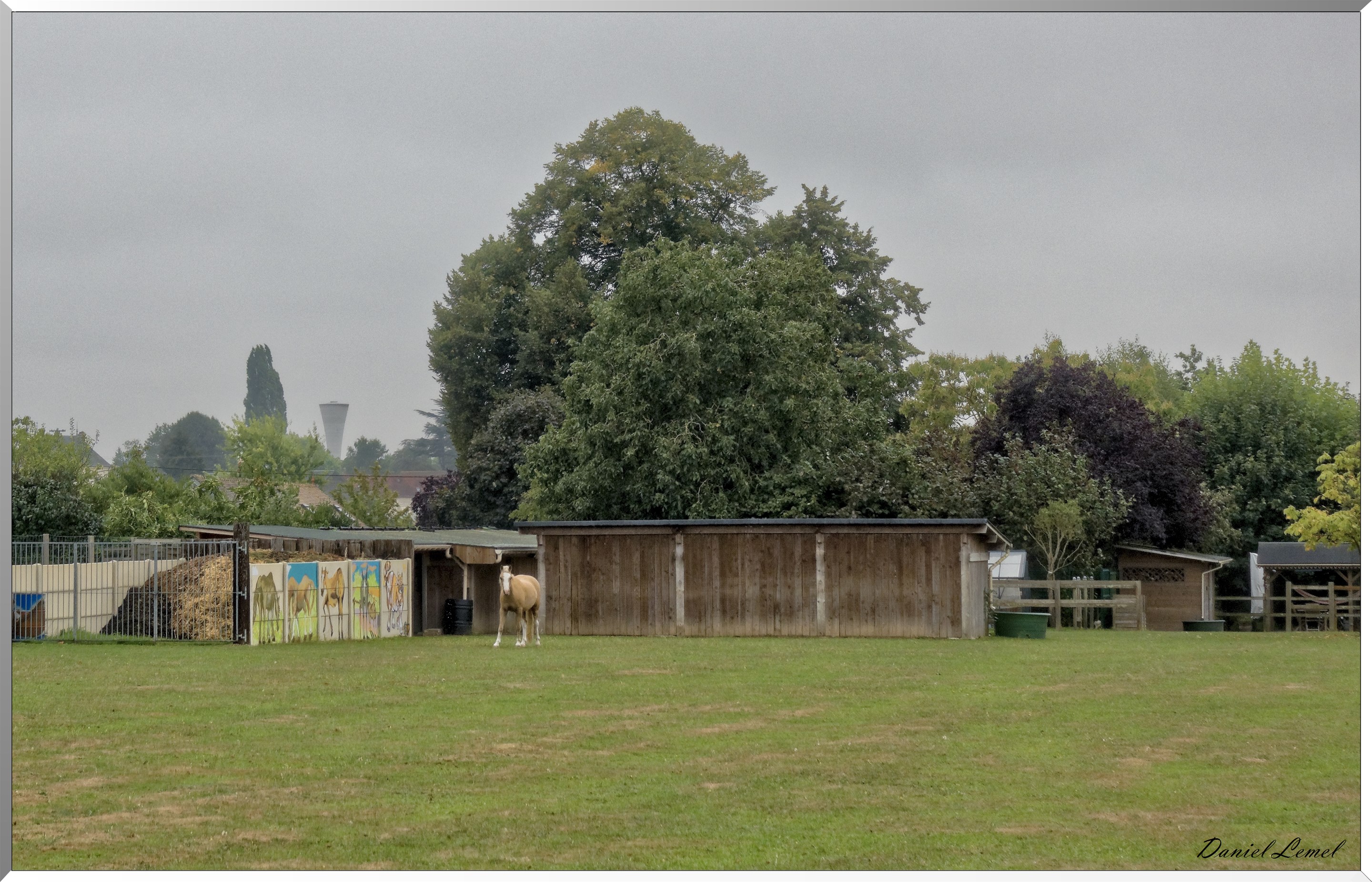 Notre-Dame-de-la-Mer