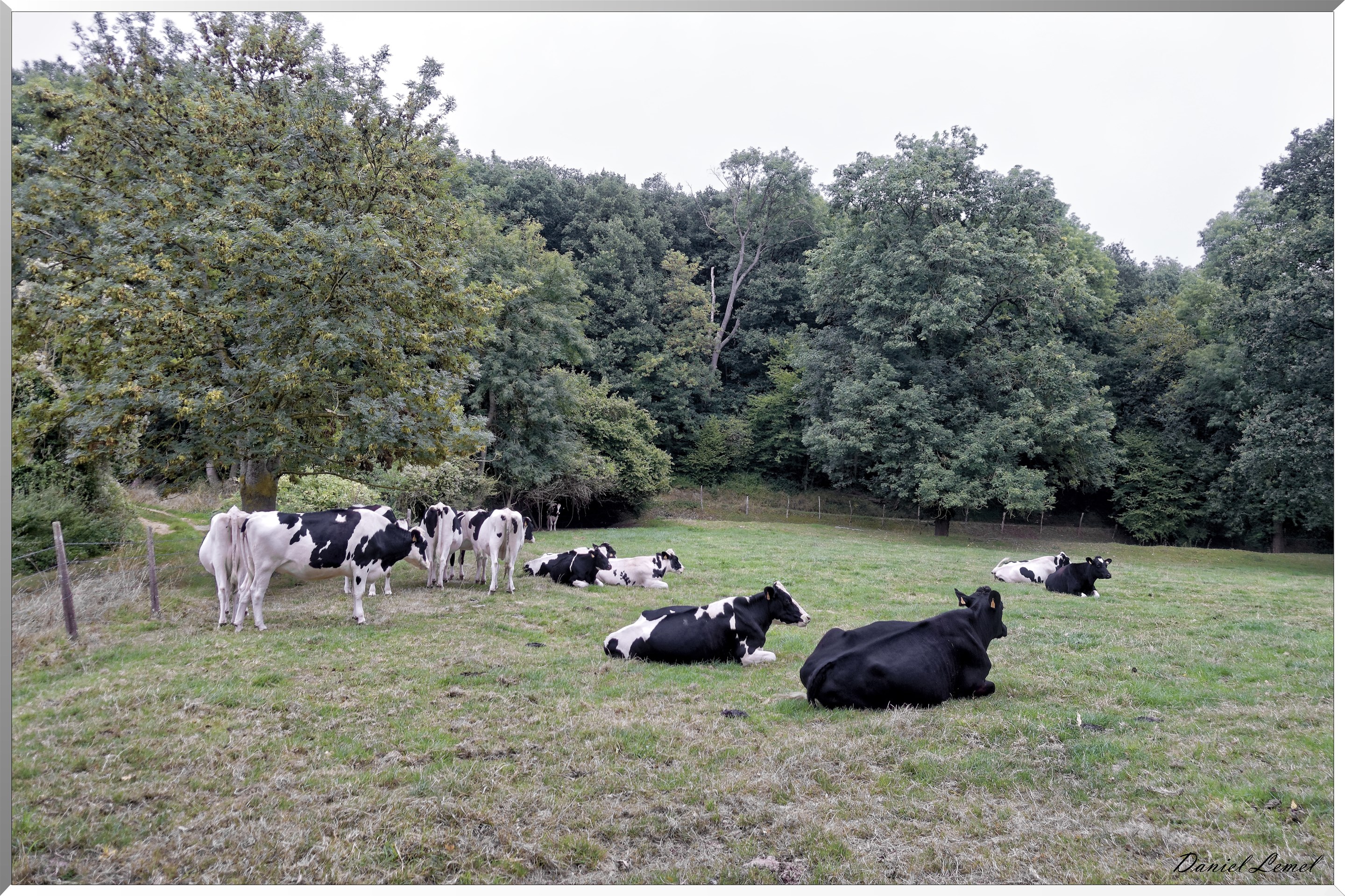 Notre-Dame-de-la-Mer