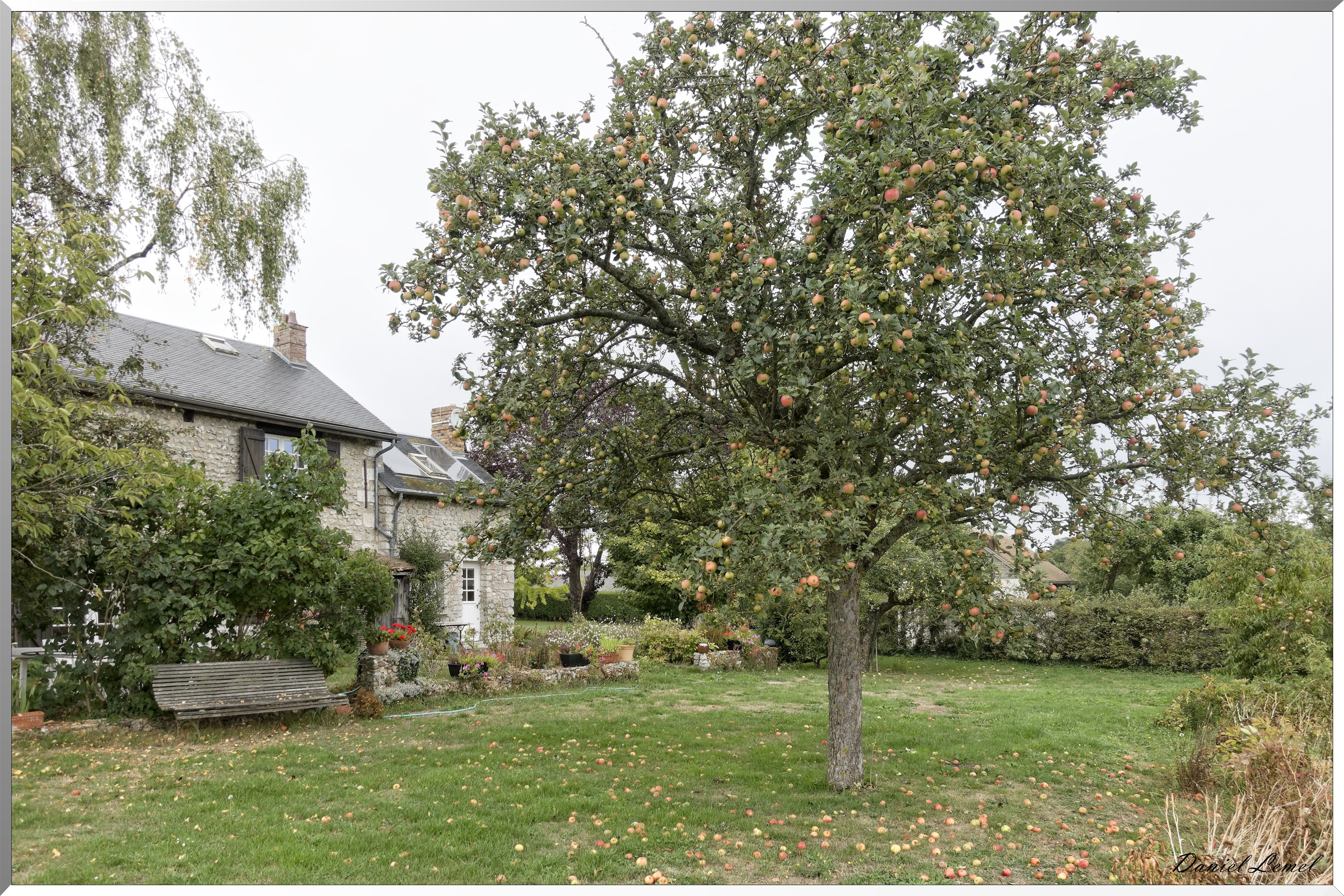 Notre-Dame-de-la-Mer