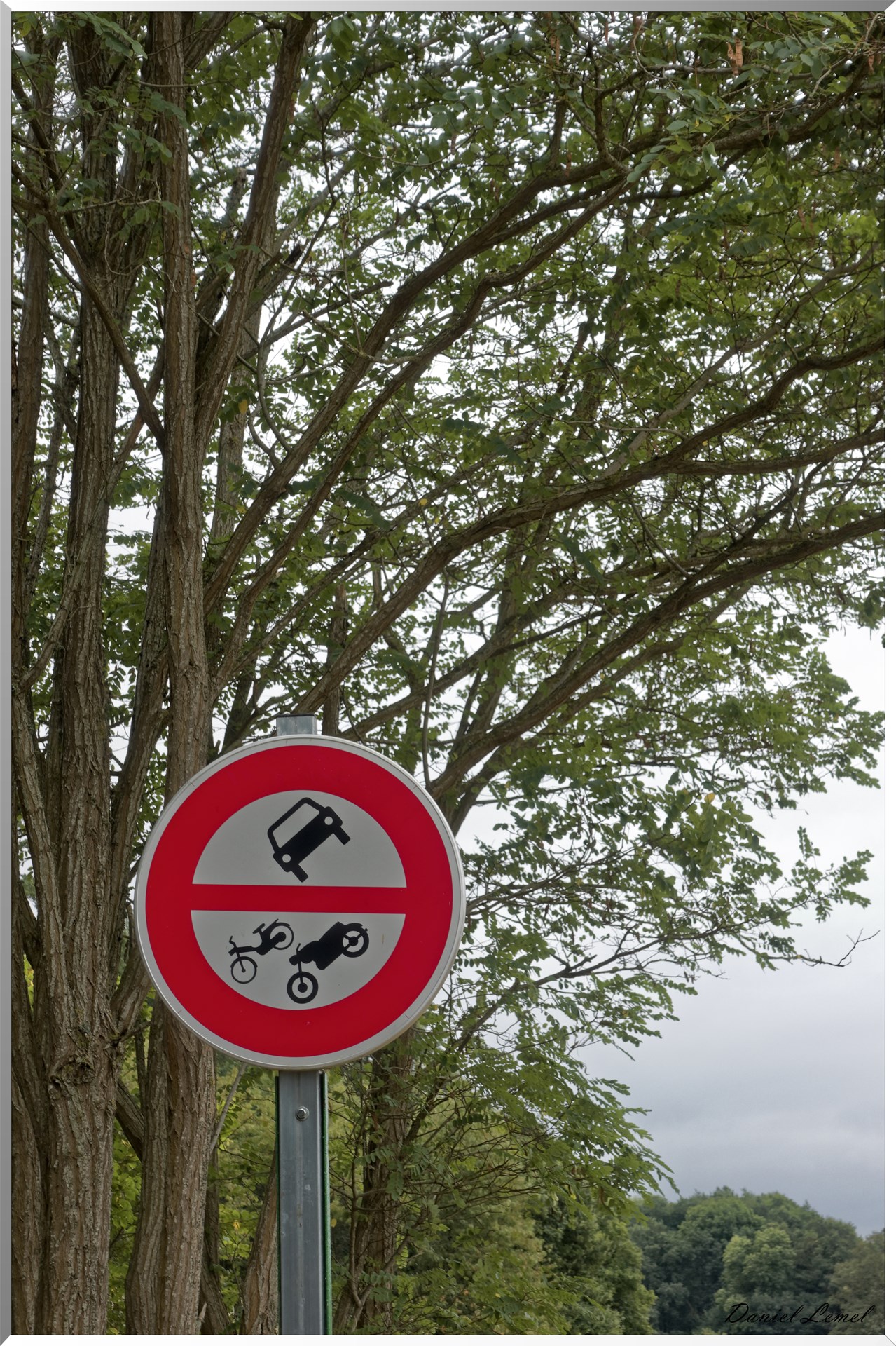 Notre-Dame-de-la-Mer