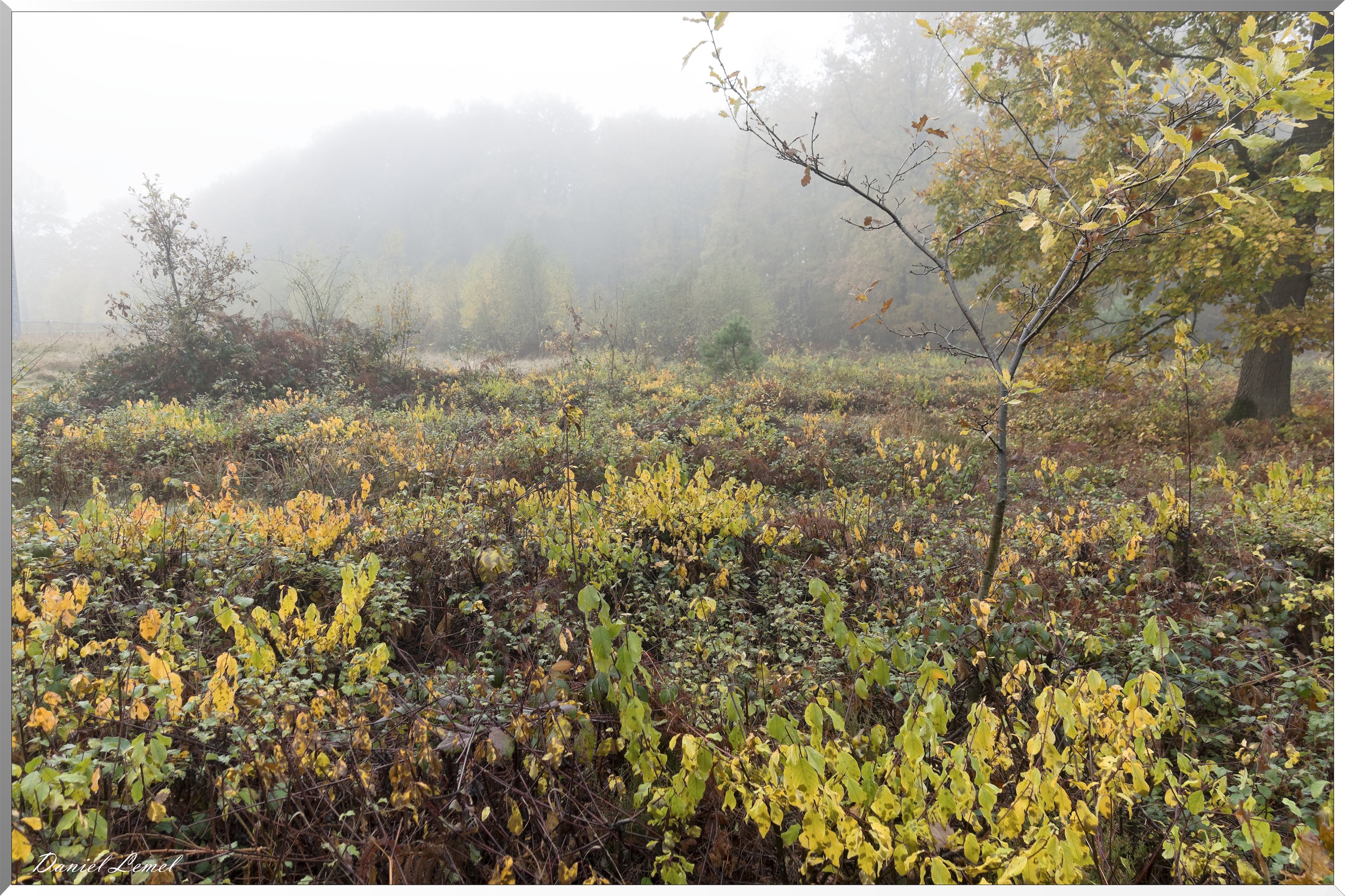 08-11-2018 - Vernon