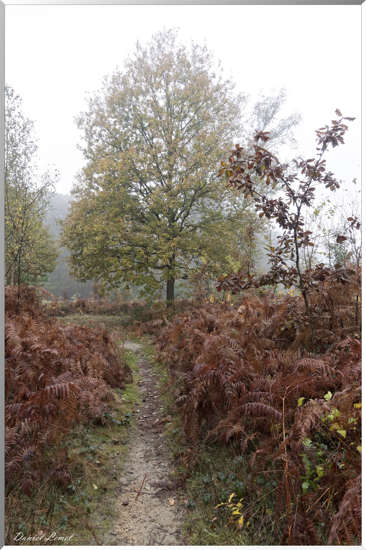 Vernon - Forêt du LRBA