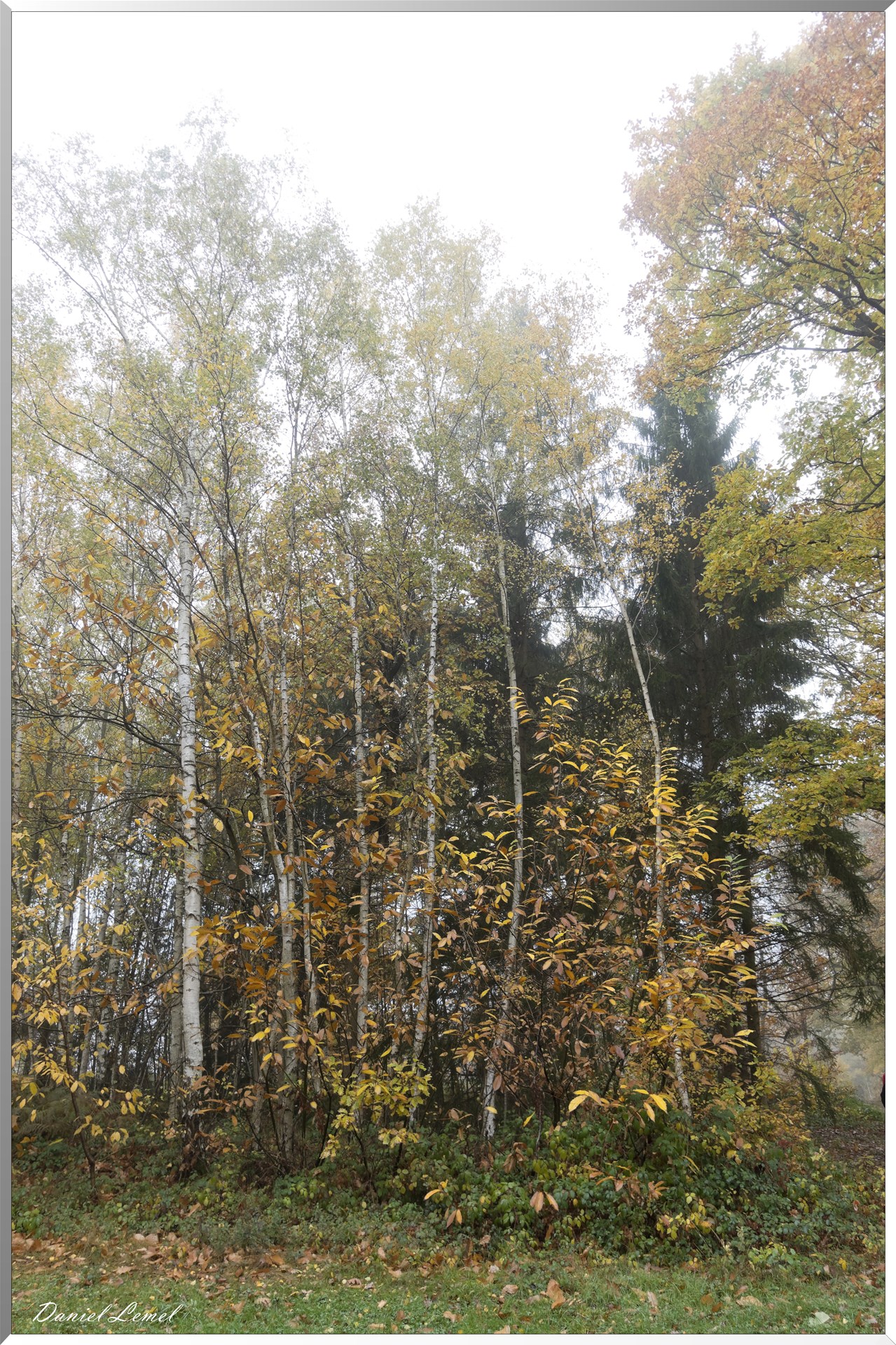 Vernon - Forêt du LRBA