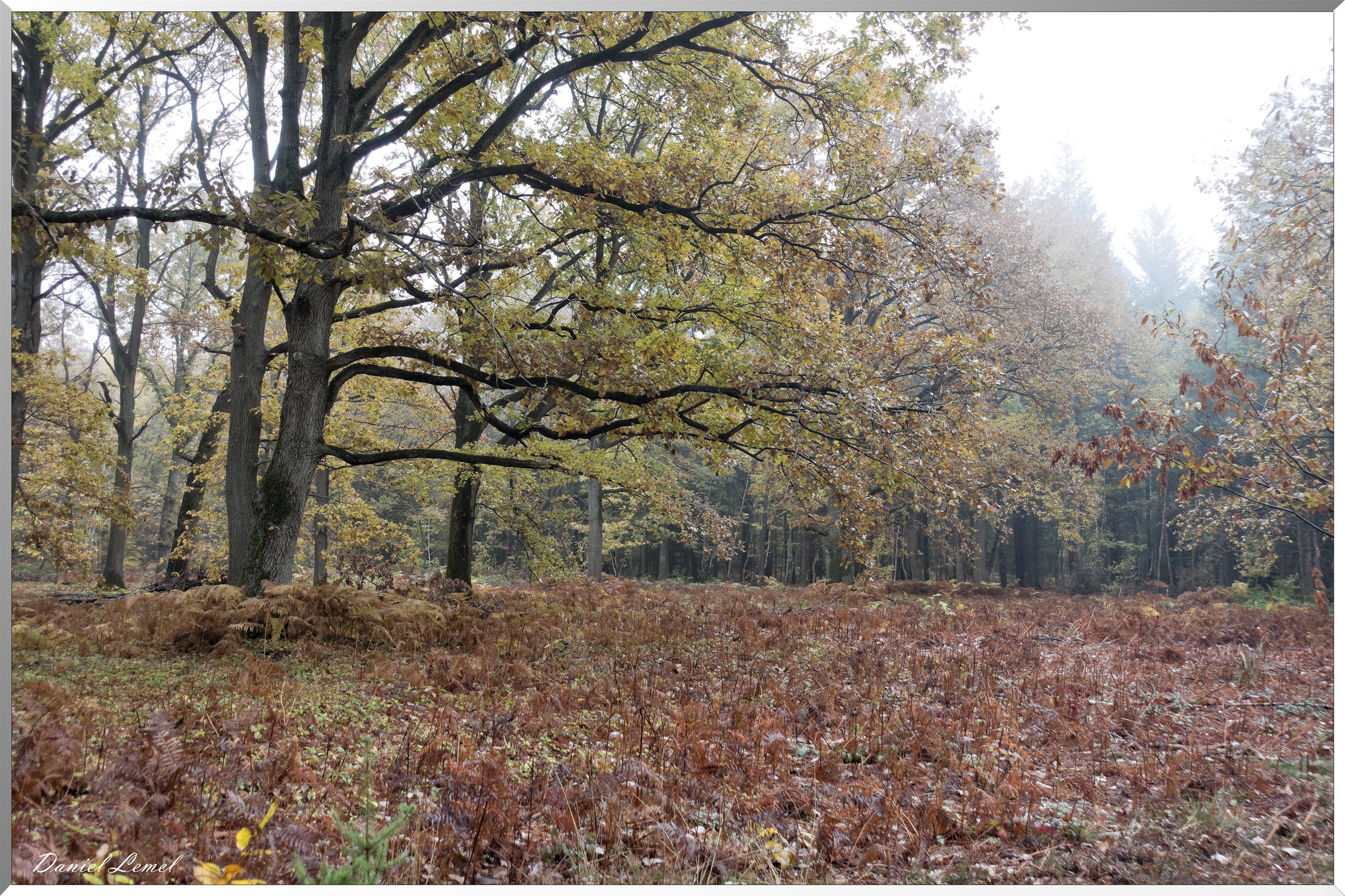 Vernon - Forêt du LRBA