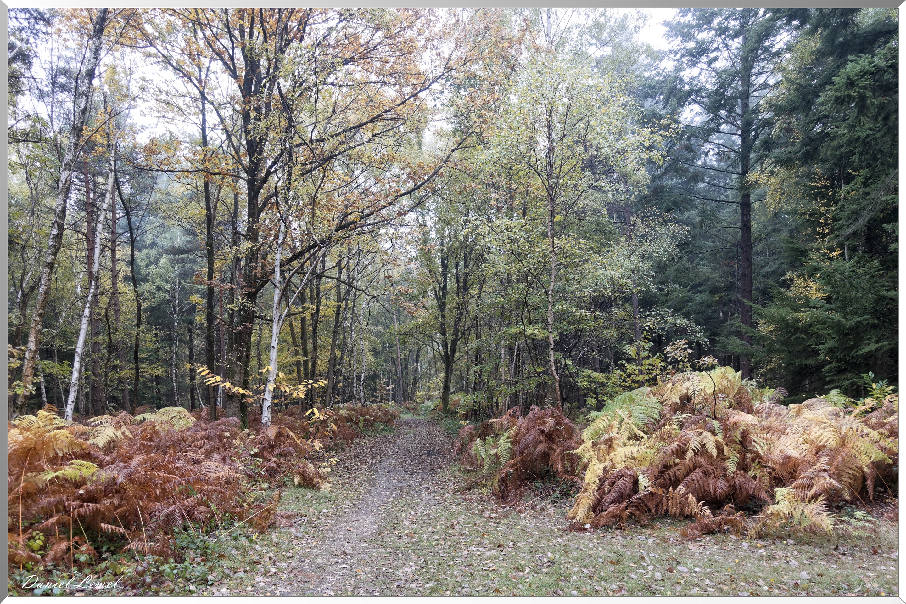 Vernon - Forêt du LRBA