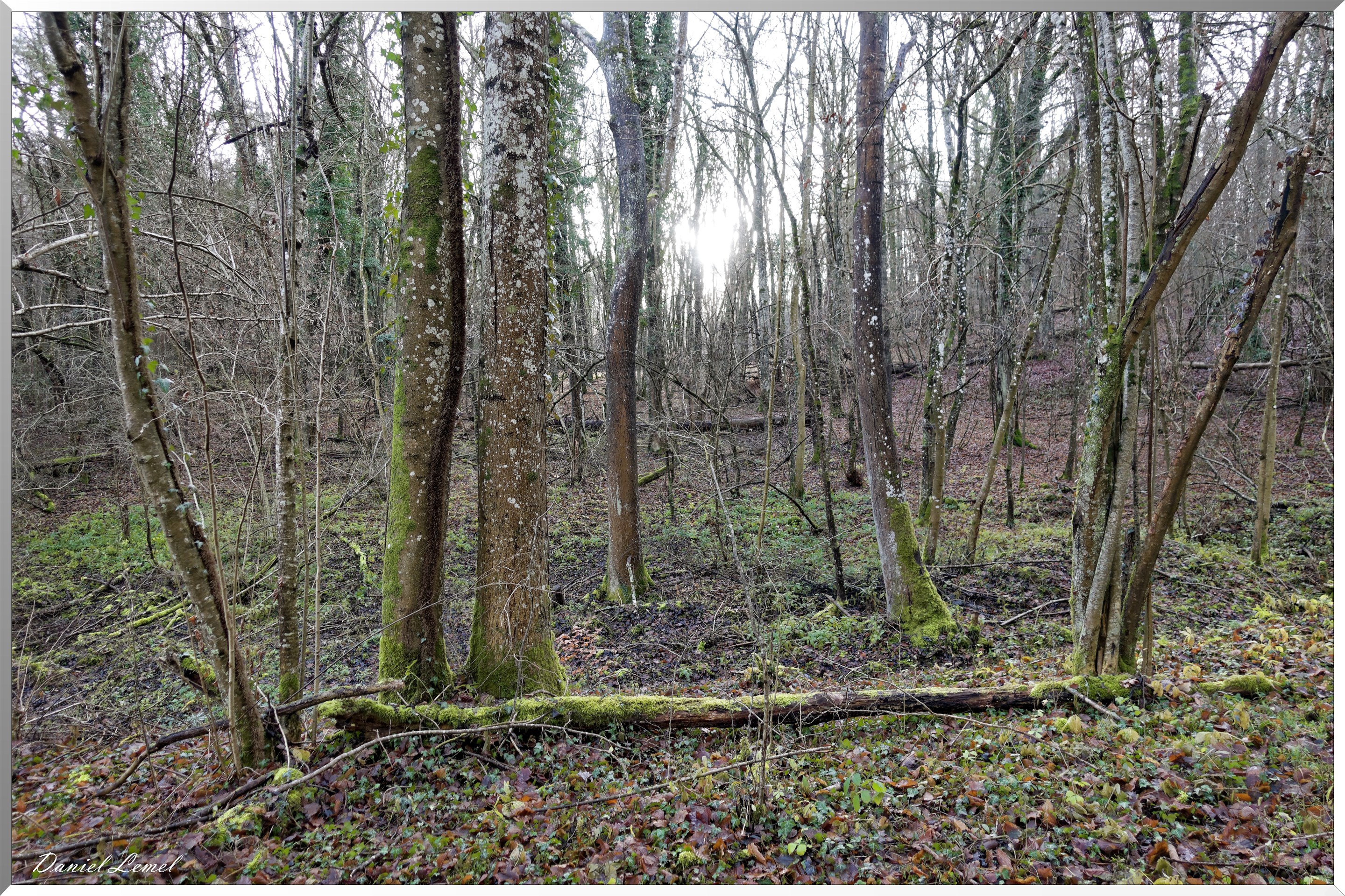 Garennes-sur-Eure