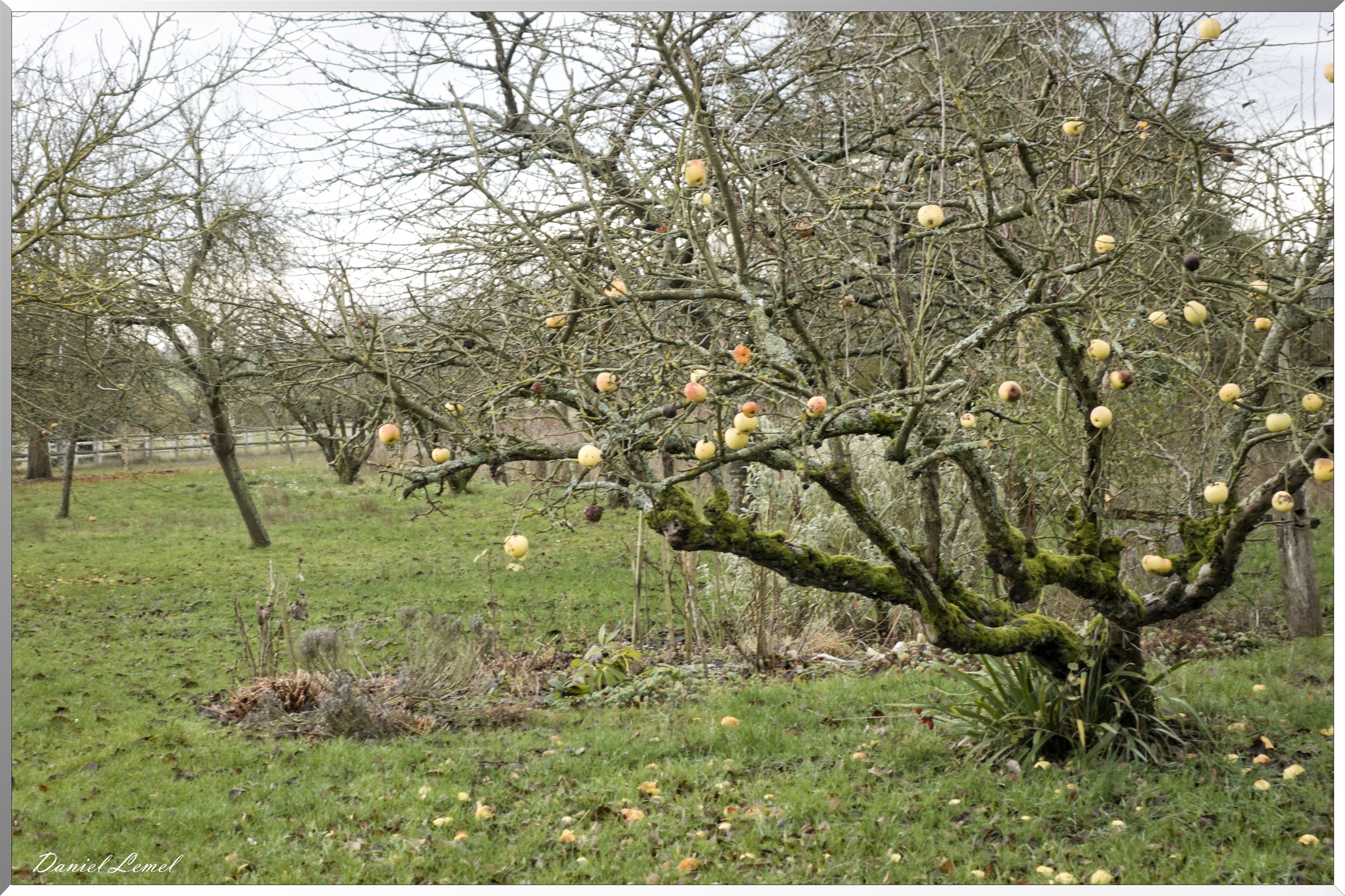 Garennes-sur-Eure