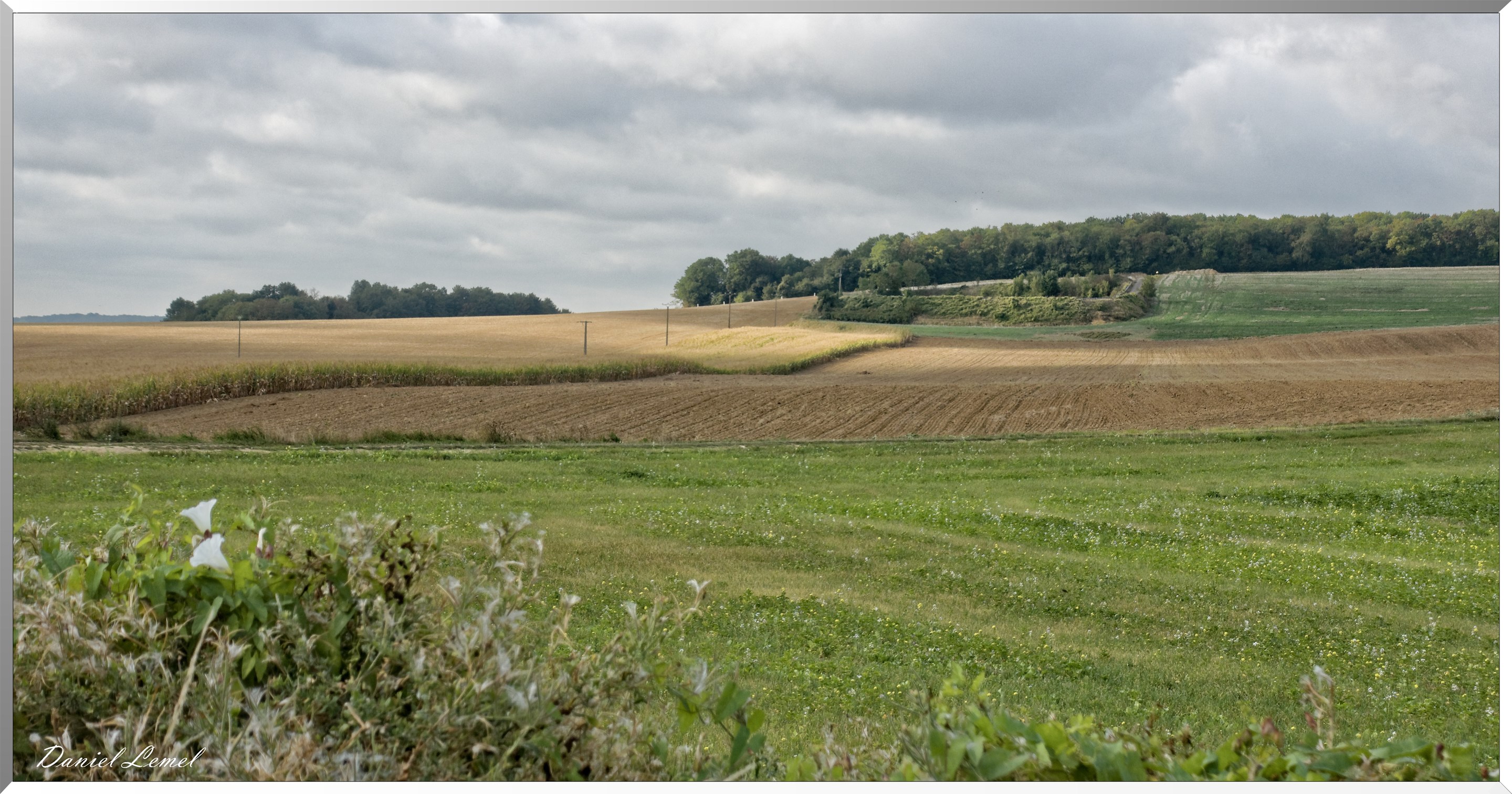 Noyers