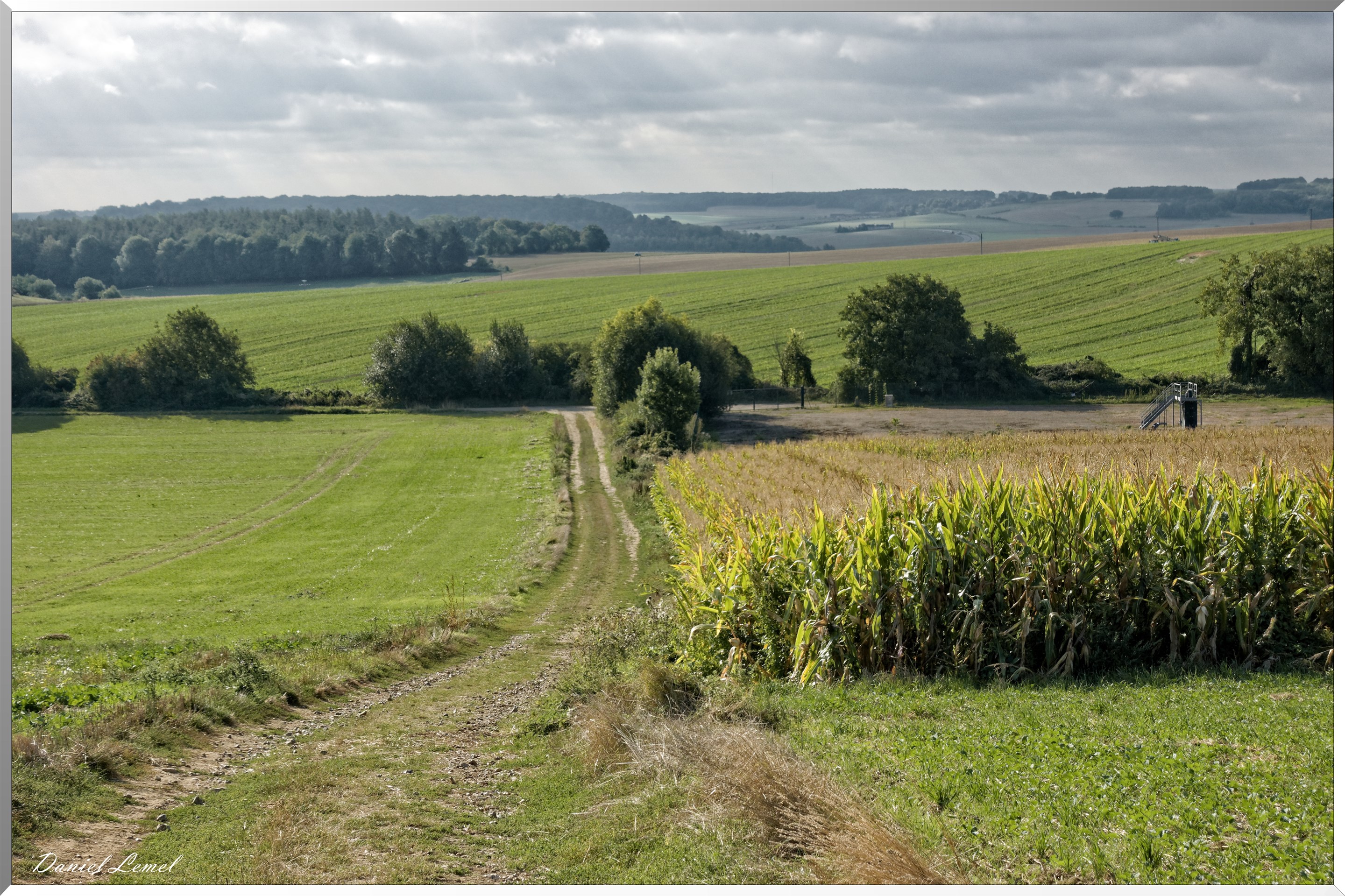 Noyers