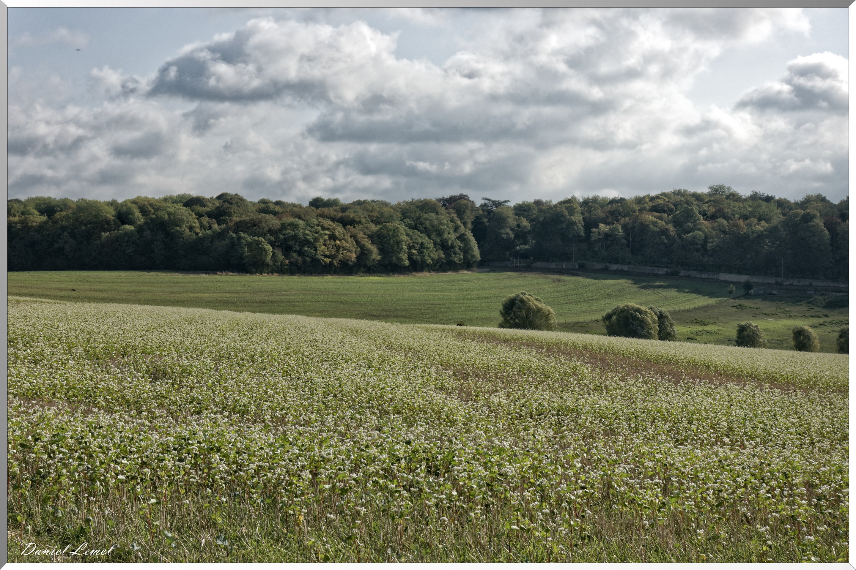 Noyers