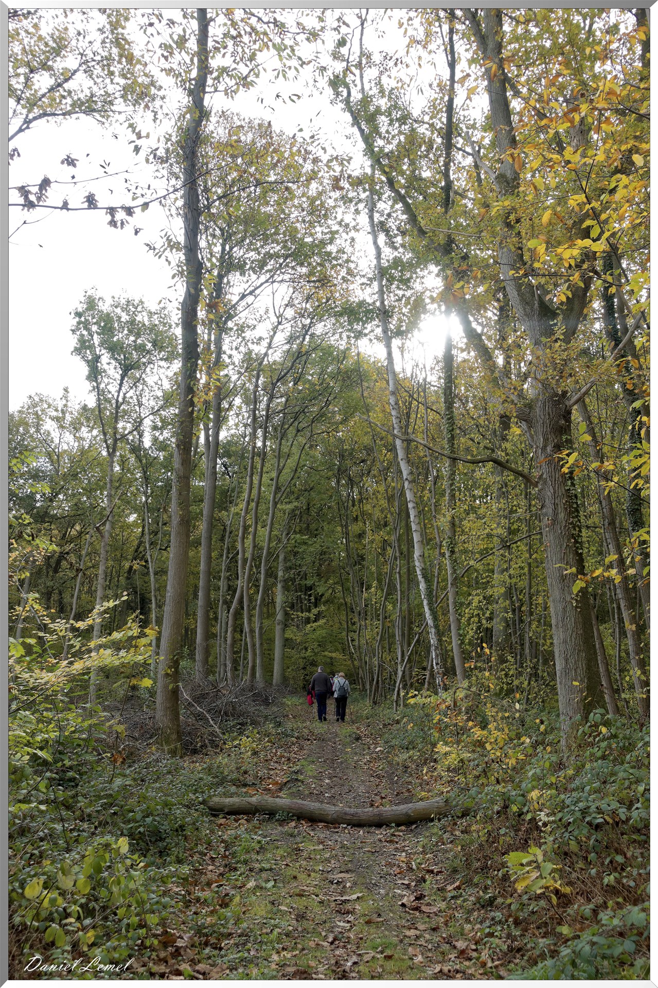 Saint-Pierre-d-Autils