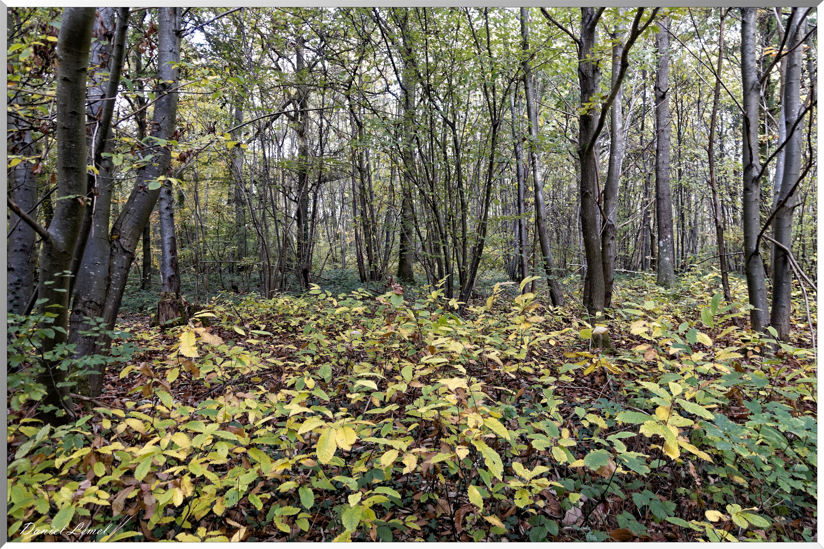 Saint-Pierre-d-Autils