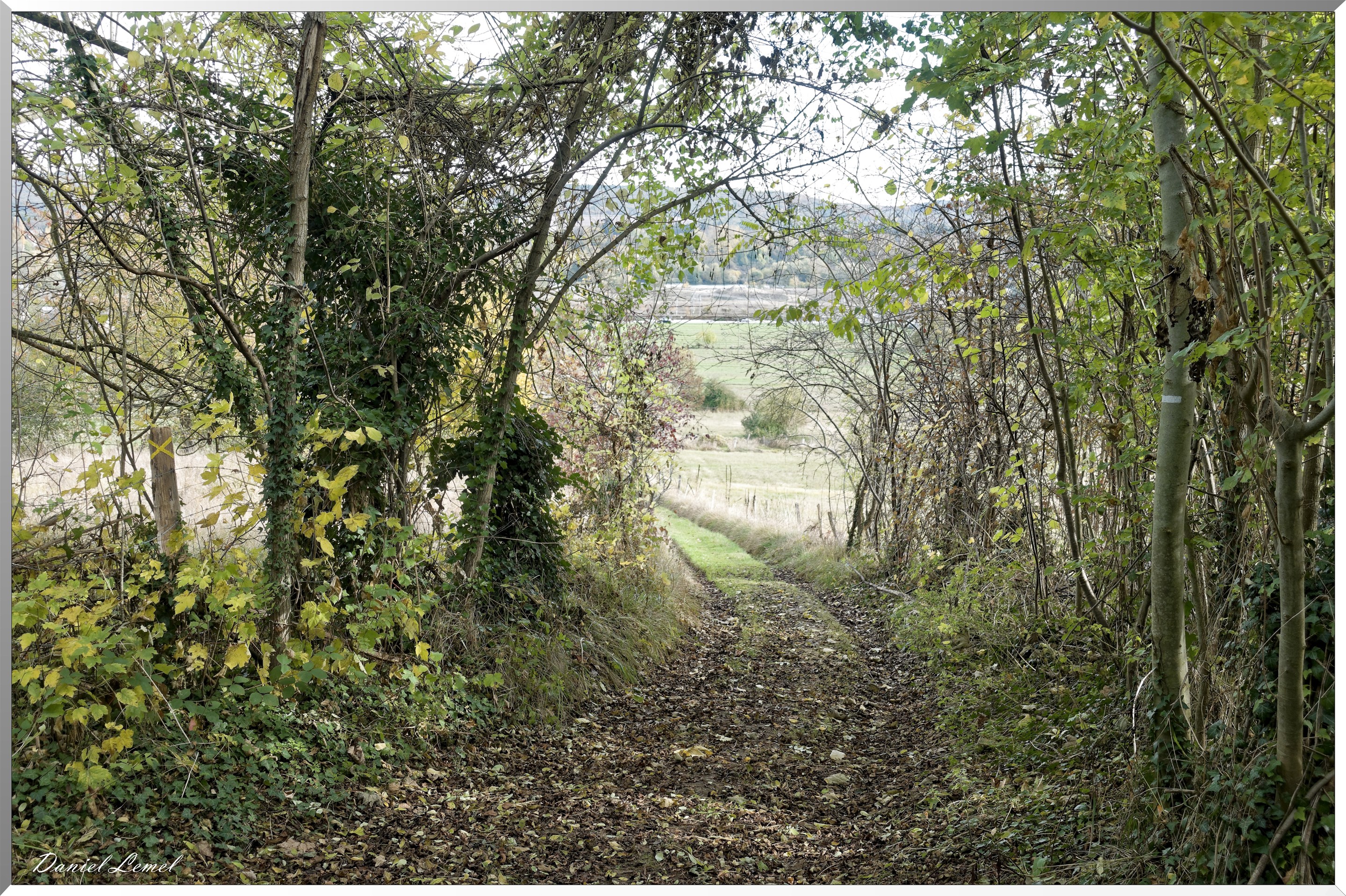 Saint-Pierre-d-Autils