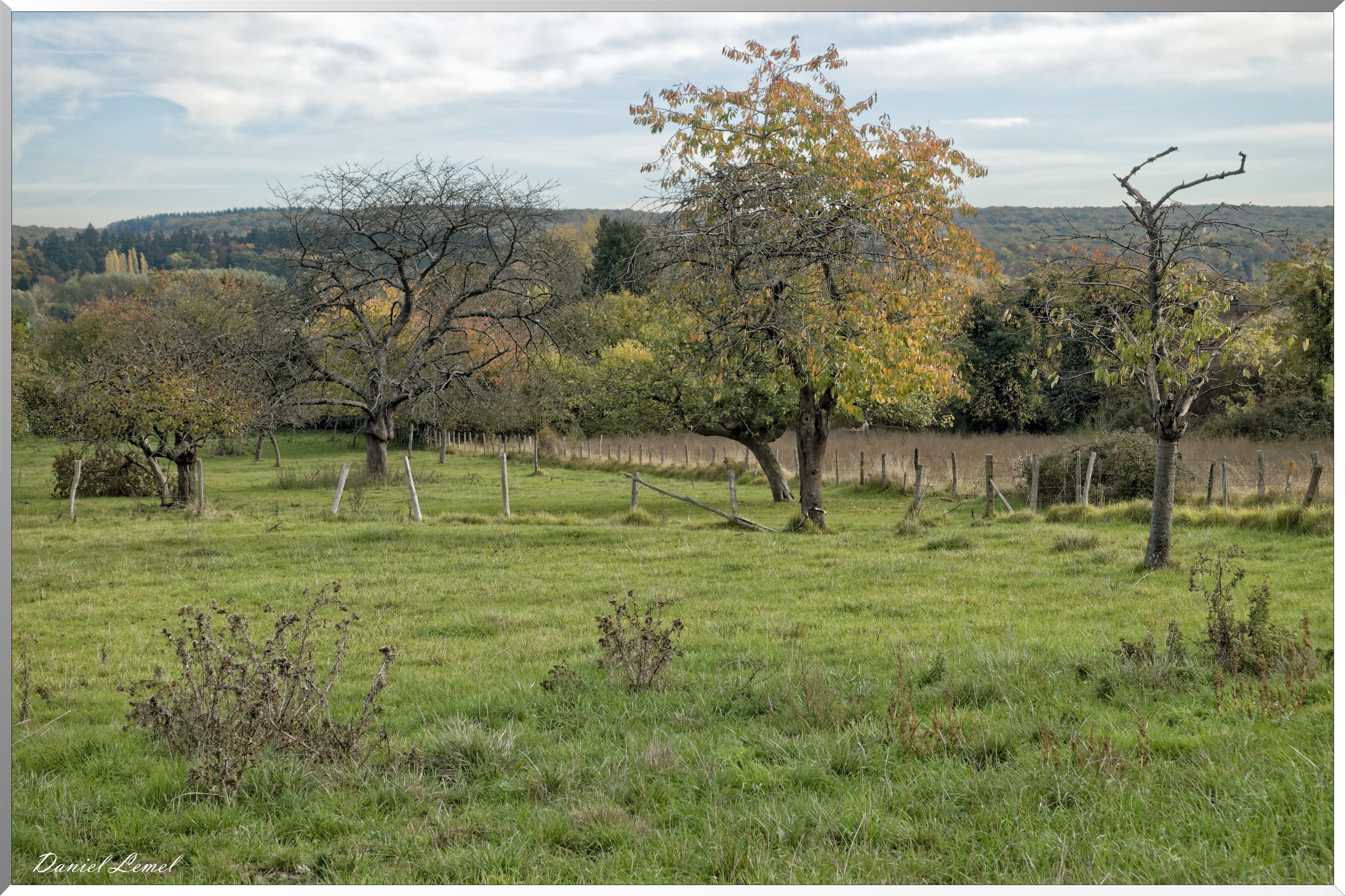 Saint-Pierre-d-Autils
