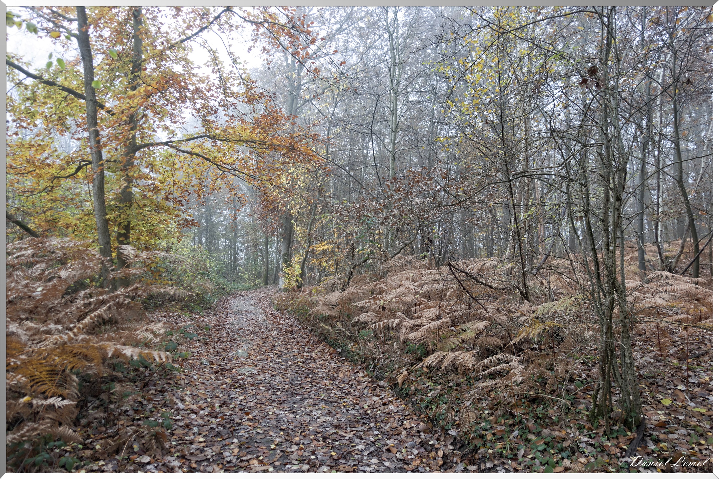 La chapelle Réanville