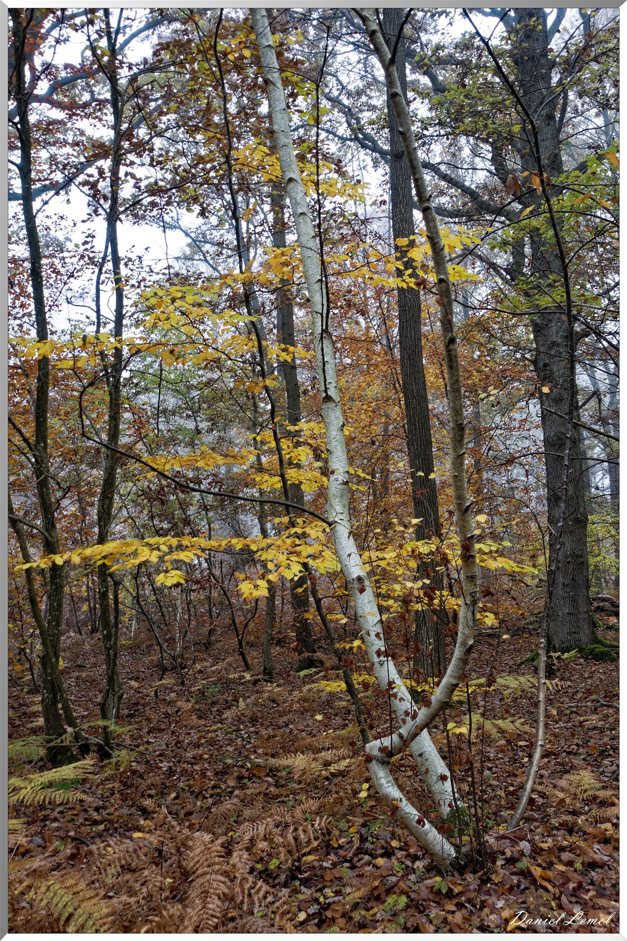 La chapelle Réanville