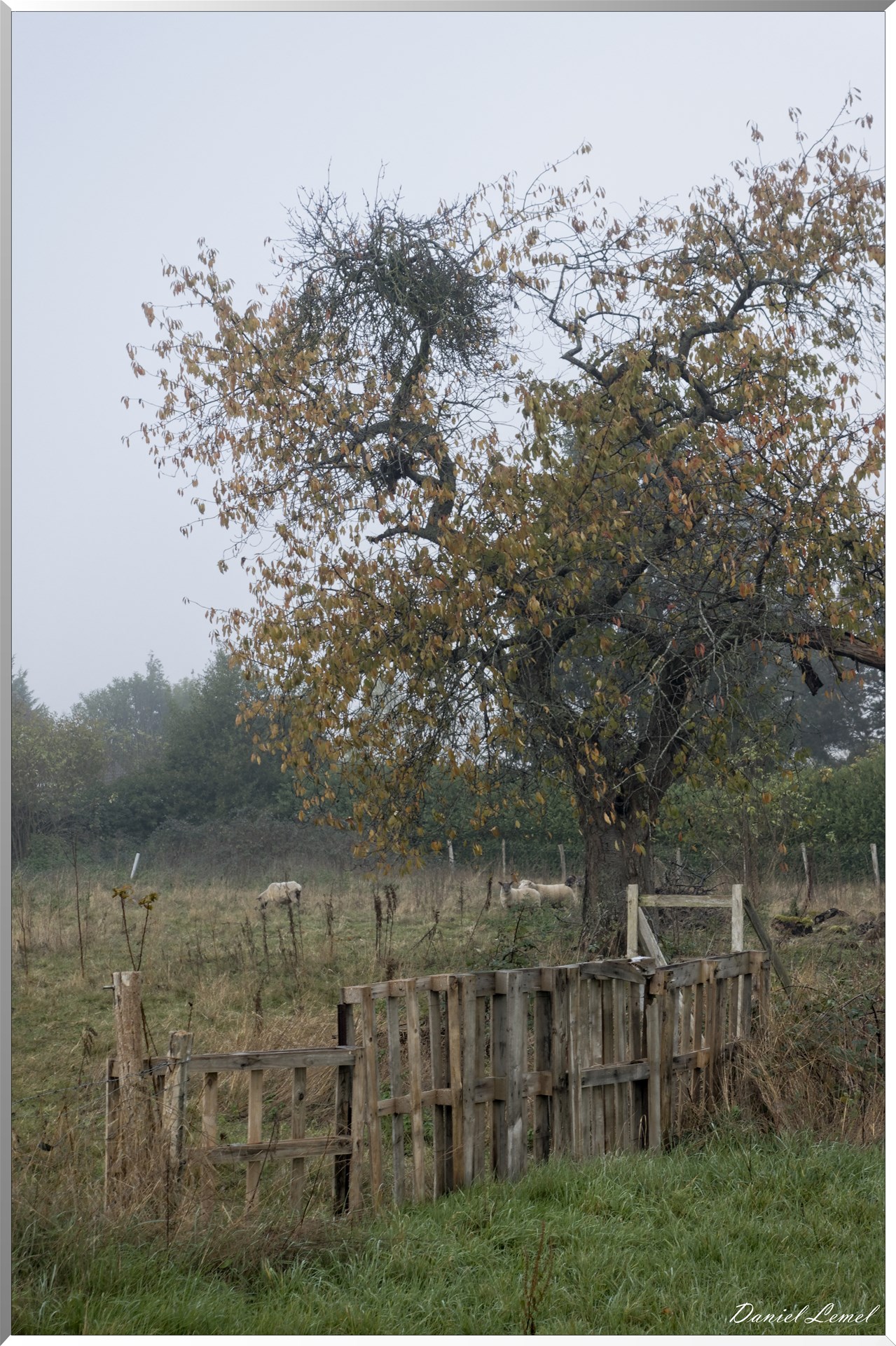 La chapelle Réanville