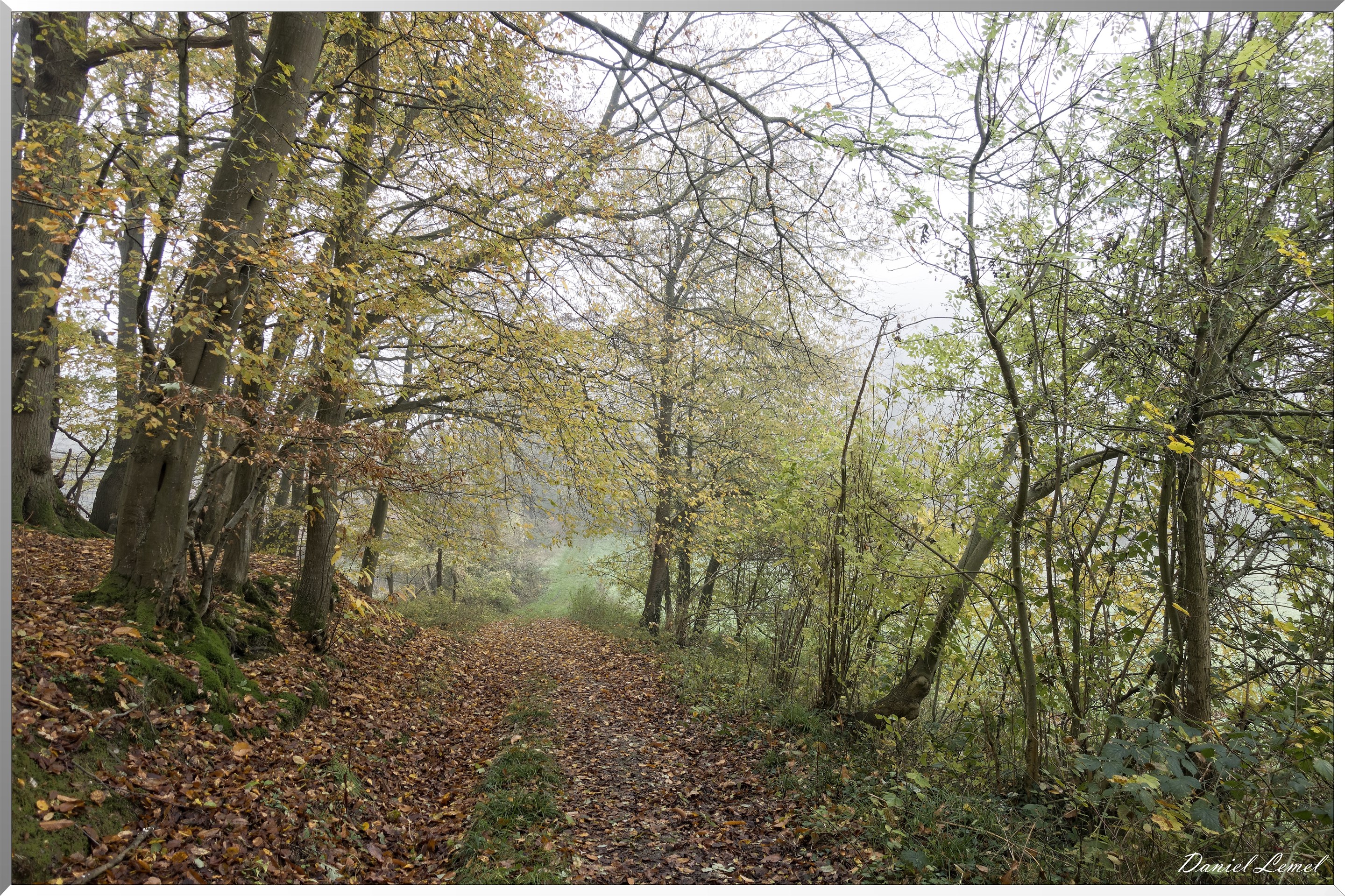 La chapelle Réanville