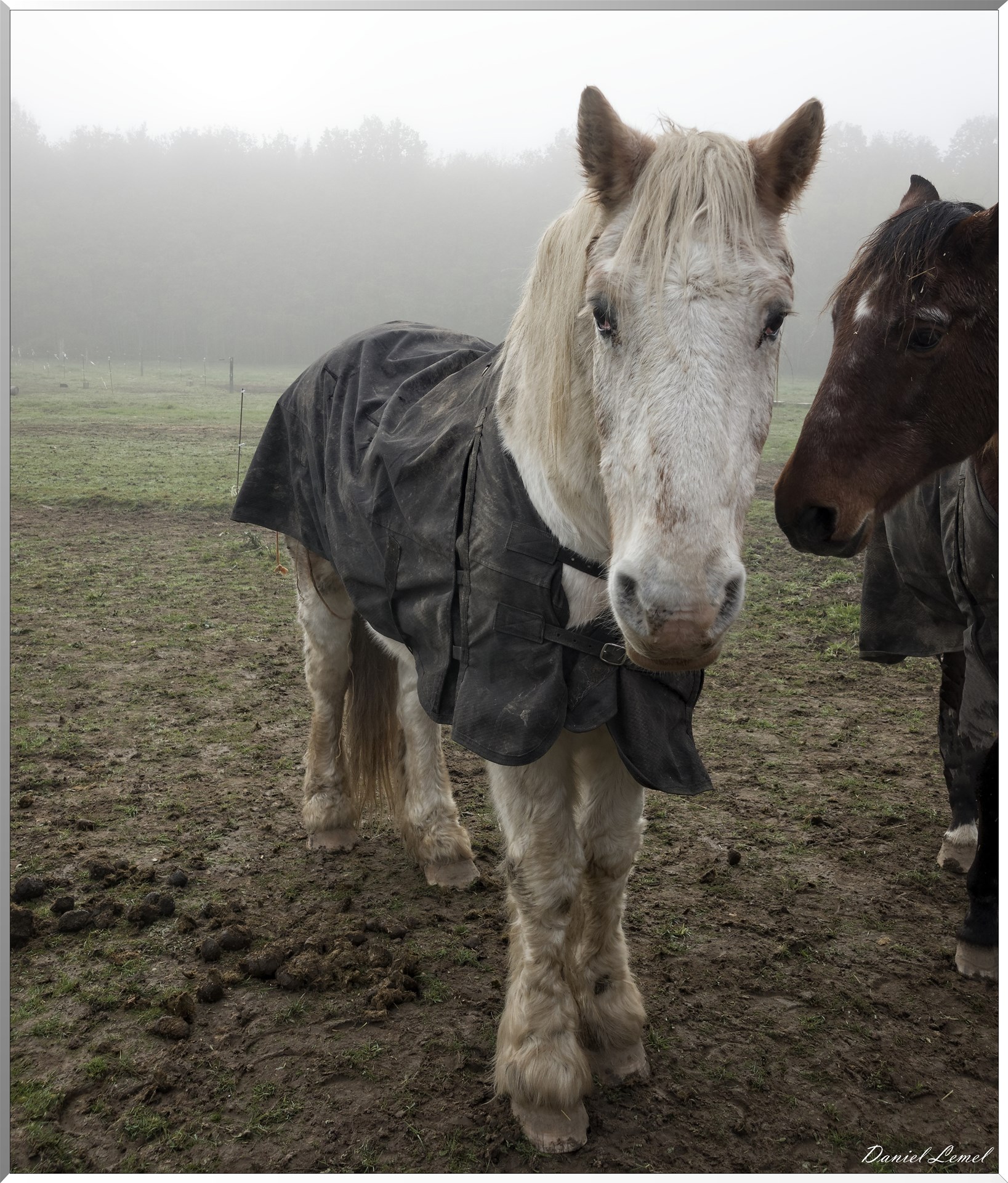 La chapelle Réanville