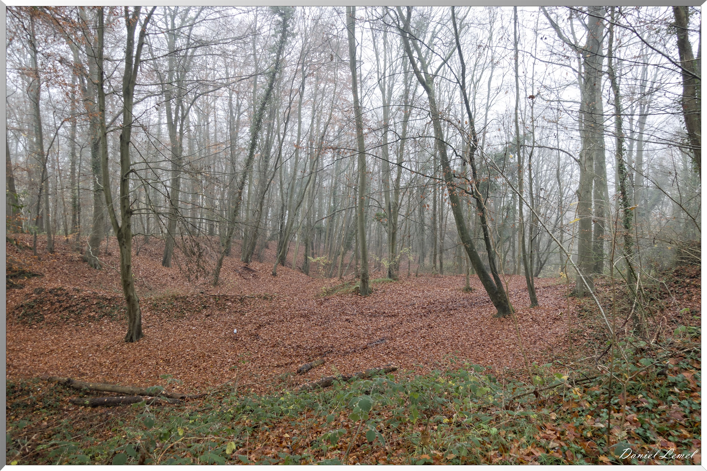 Saint-Aubin-sur-Gaillon