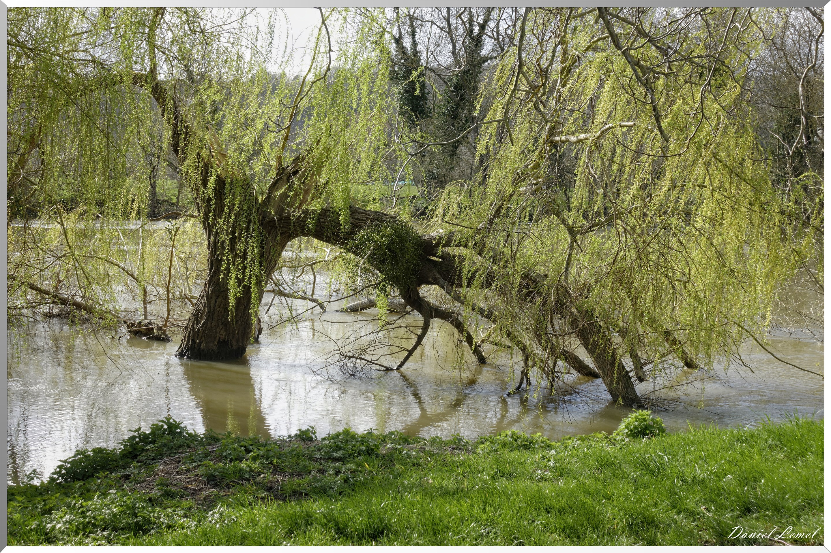 Bennecourt