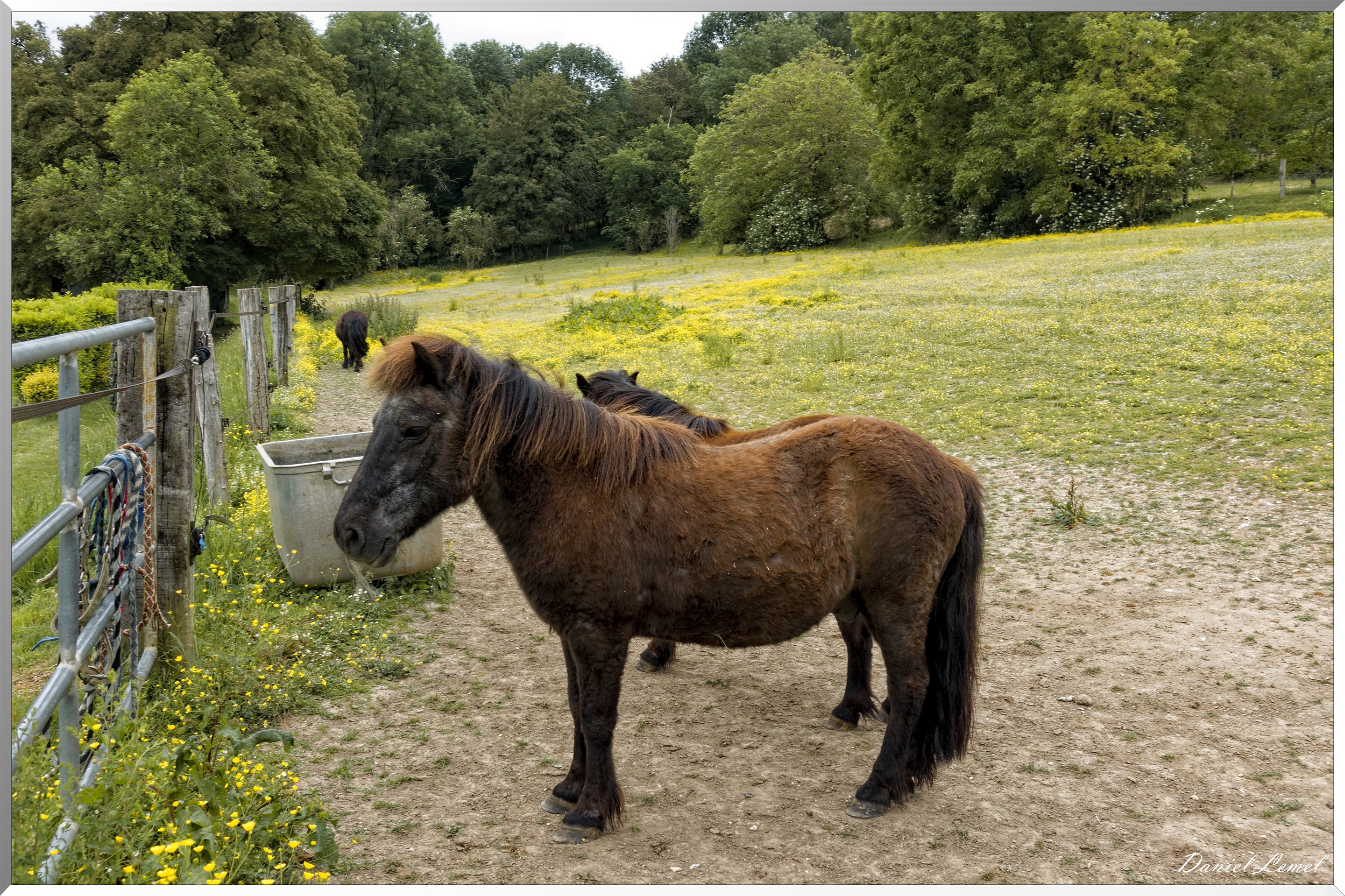 Saint-Pierre-de-Bailleul