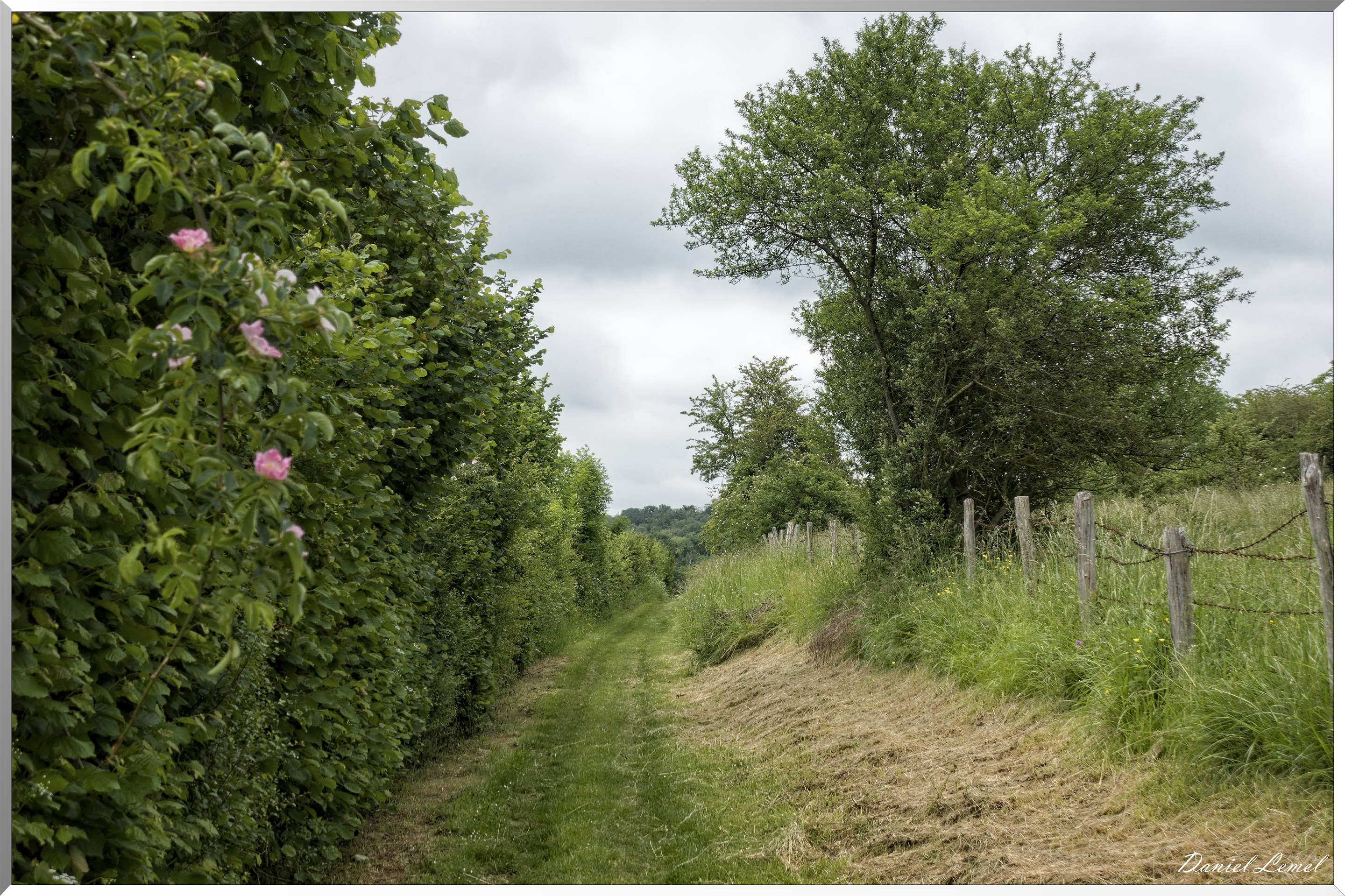 Saint-Pierre-de-Bailleul