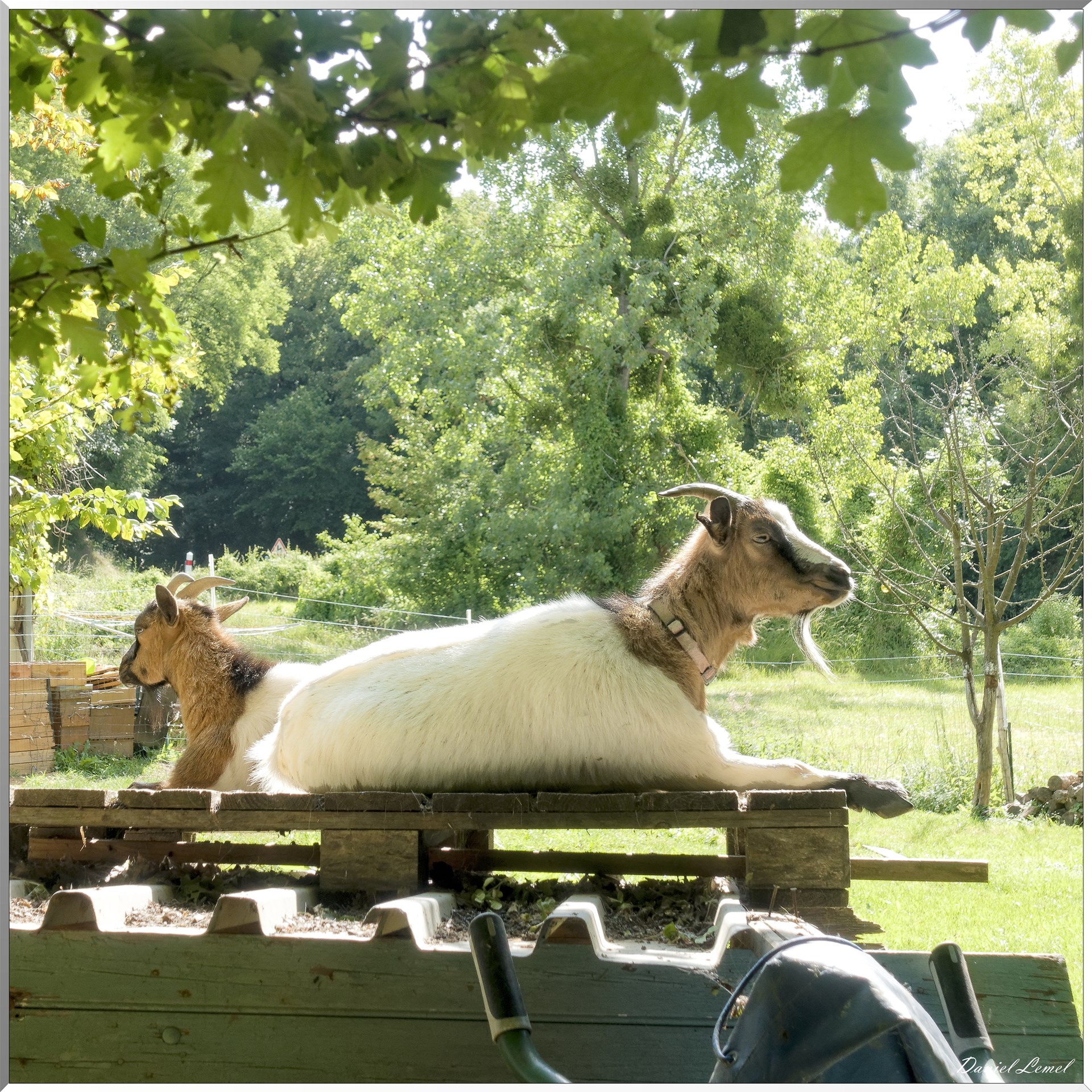 La Chapelle-Réanville