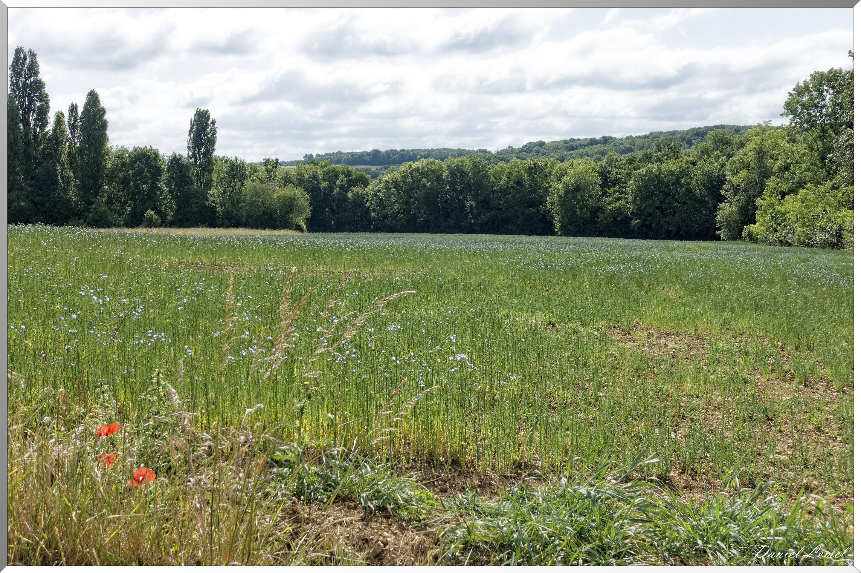 La Chapelle-Réanville