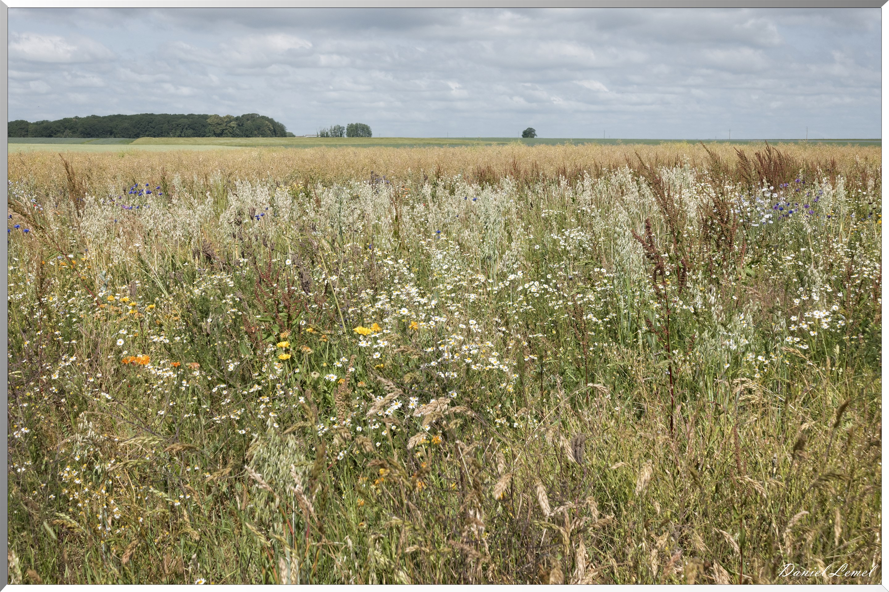 La Chapelle-Réanville