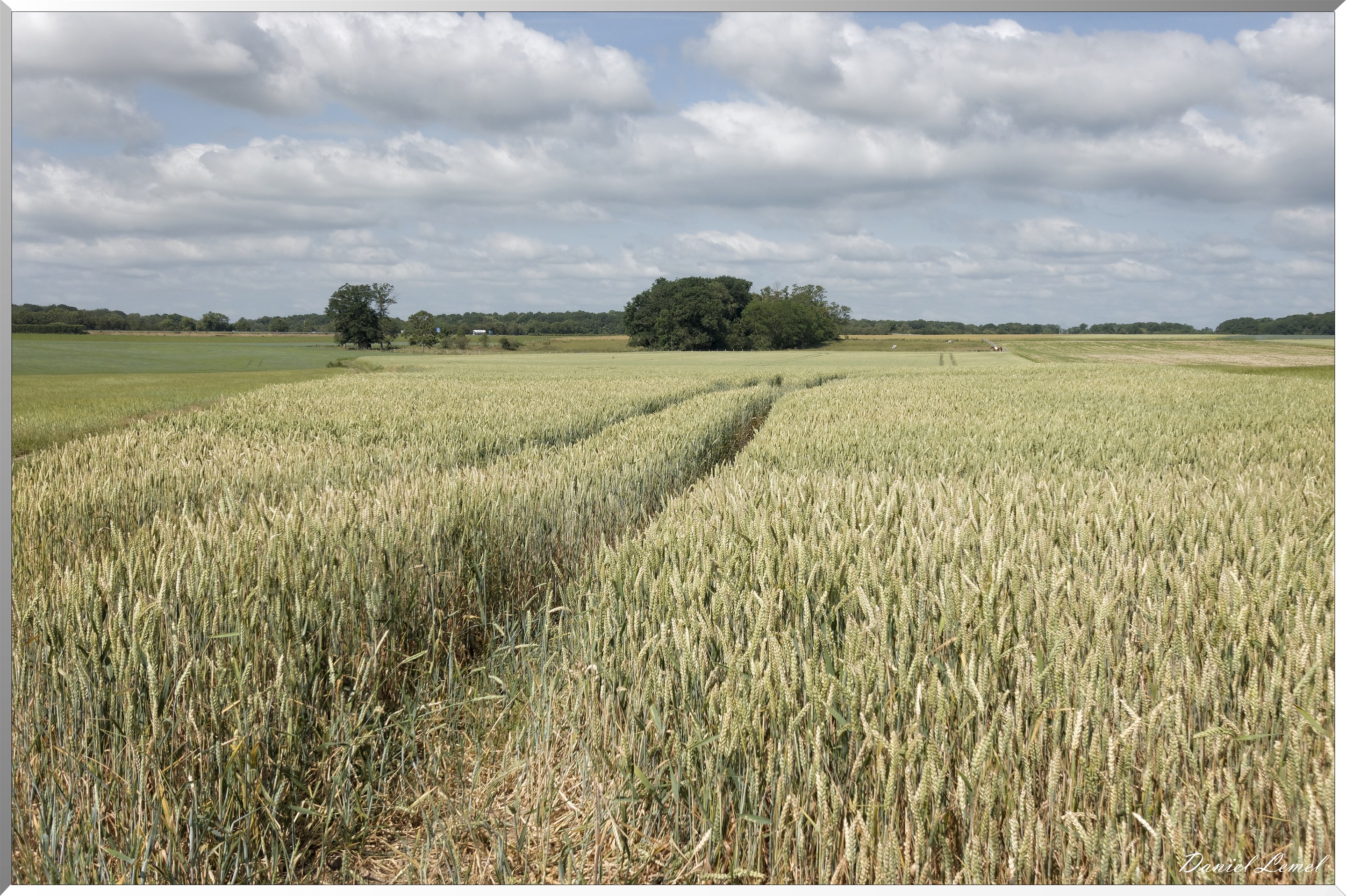 La Chapelle-Réanville