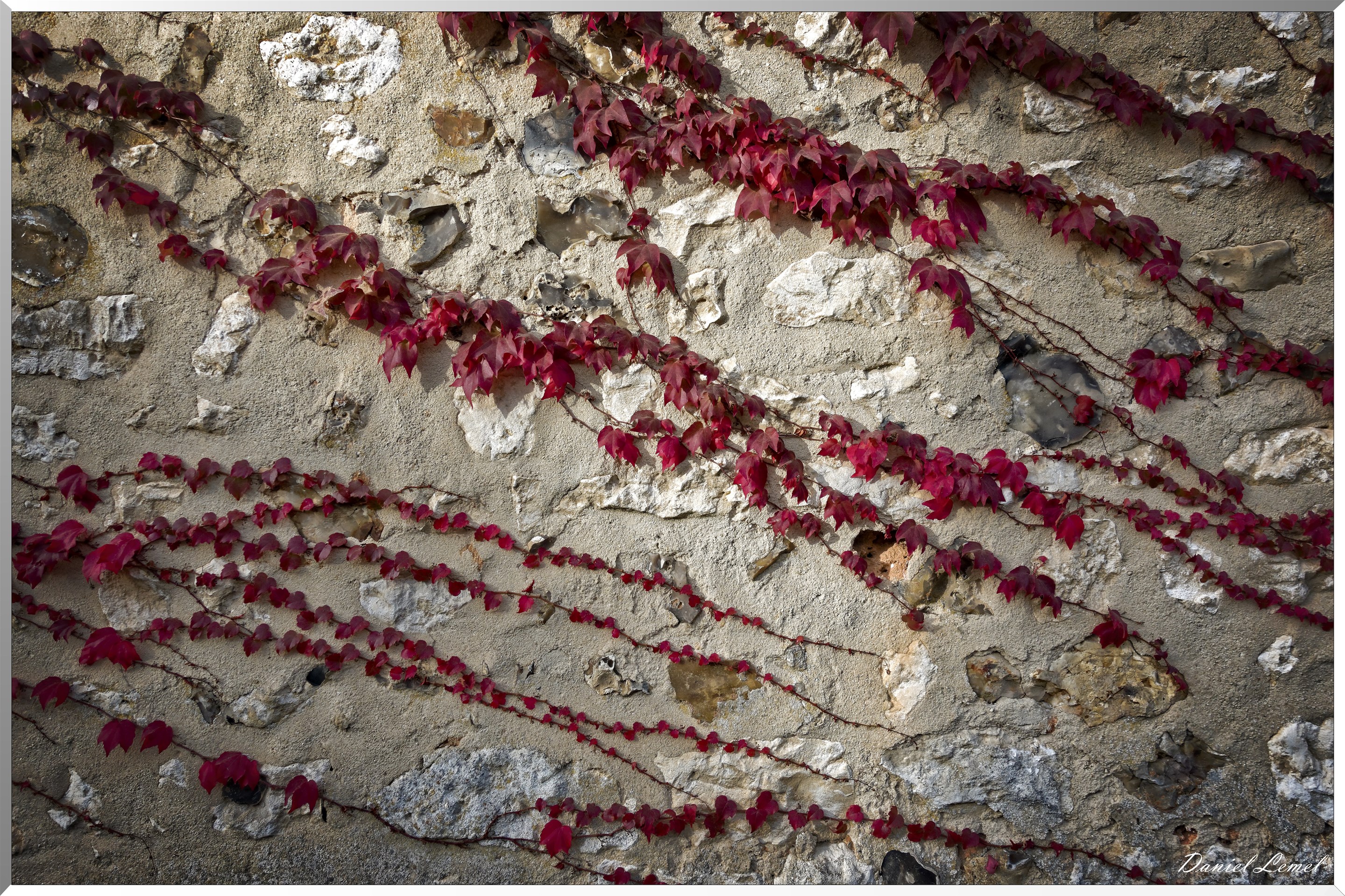 Bois-Jérôme-Saint-Ouen