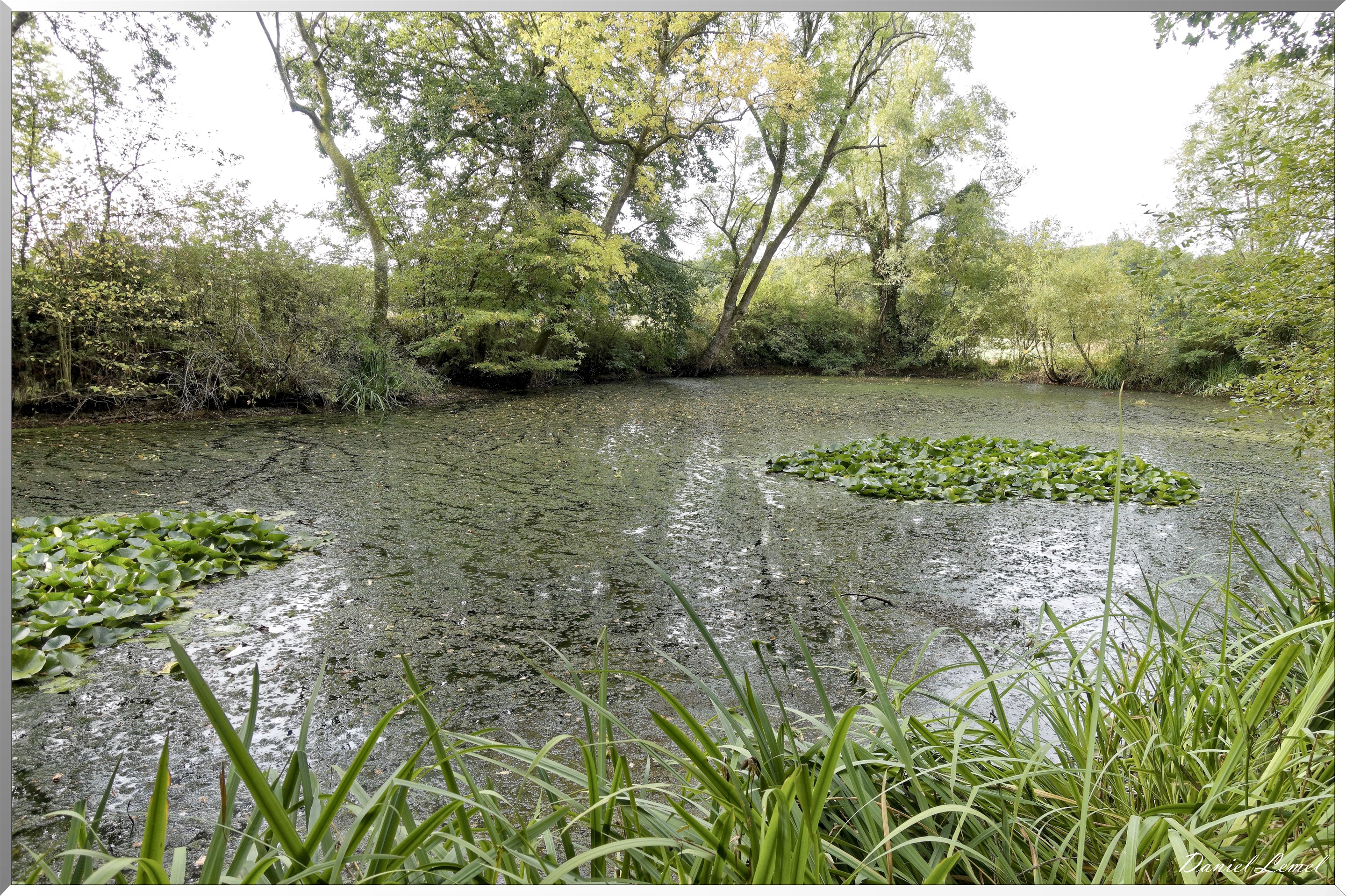 Bois-Jérôme-Saint-Ouen