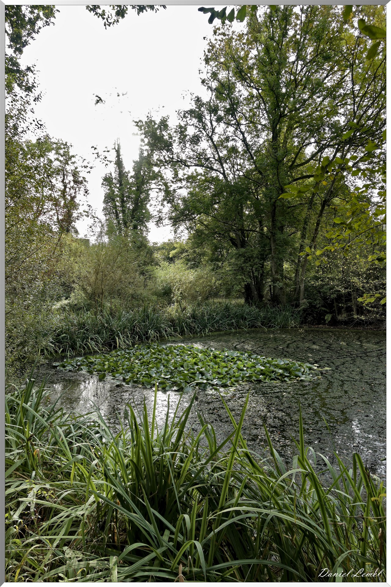 Bois-Jérôme-Saint-Ouen