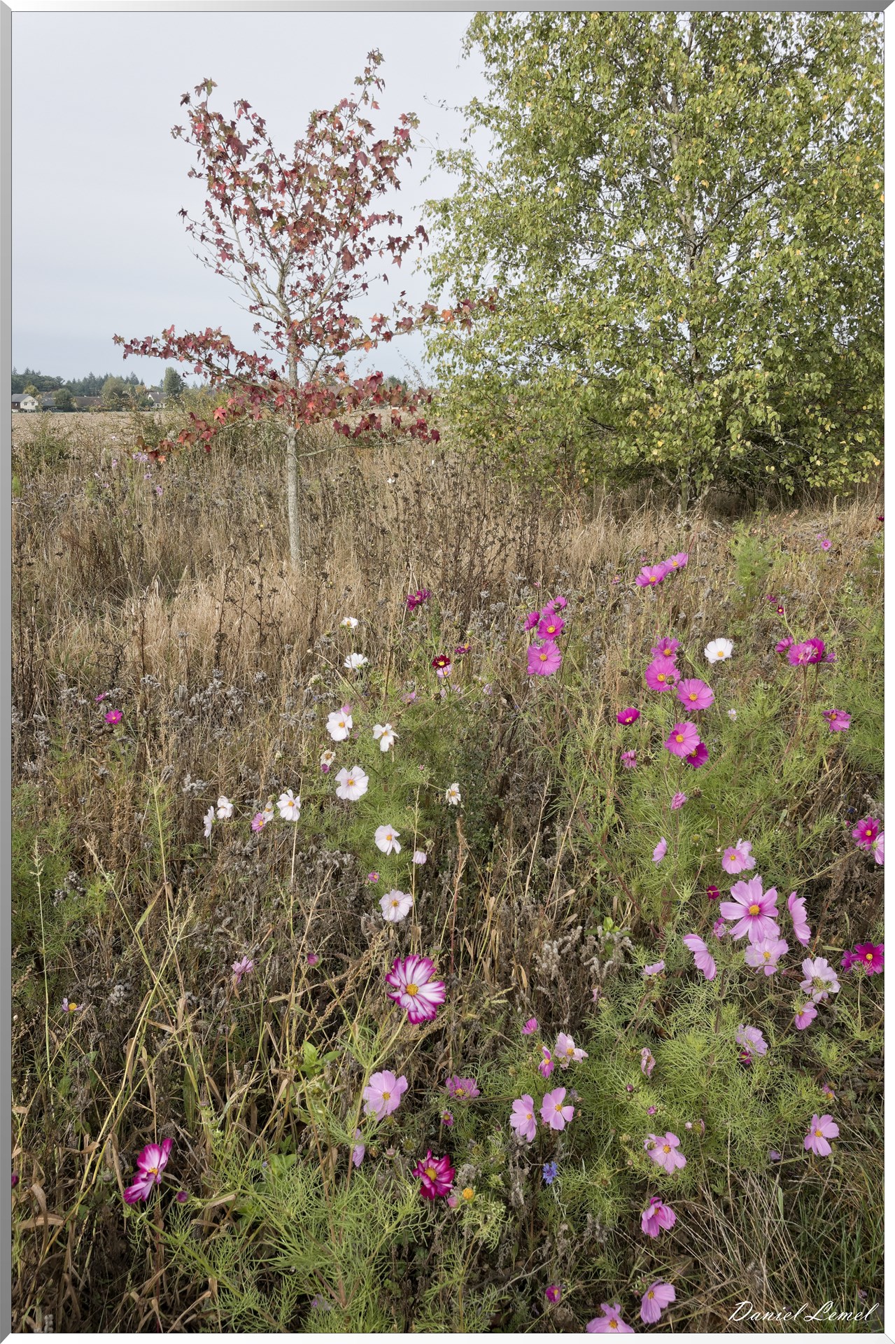 Bois-Jérôme-Saint-Ouen