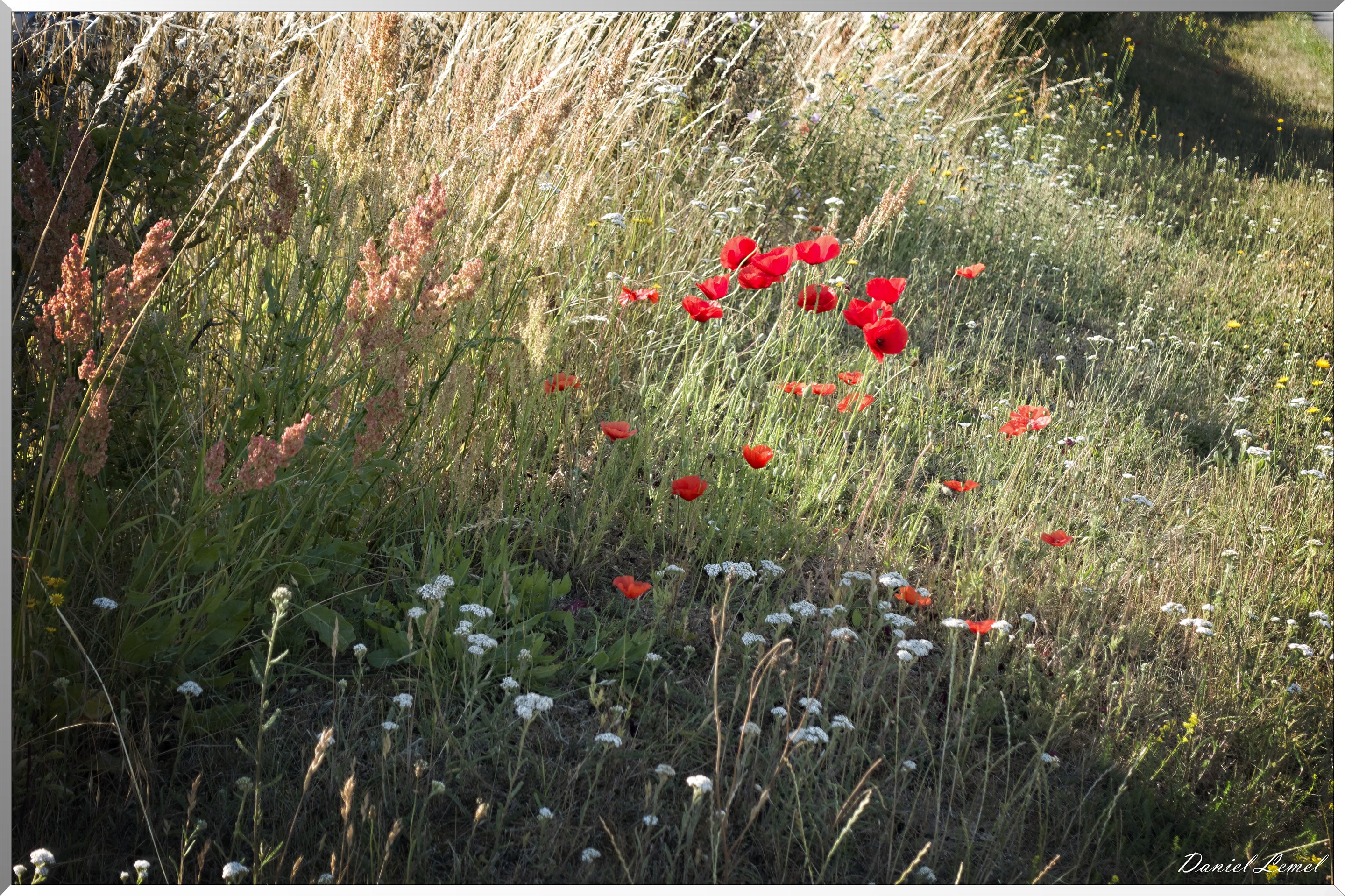 Pressagny l'Orgueilleux