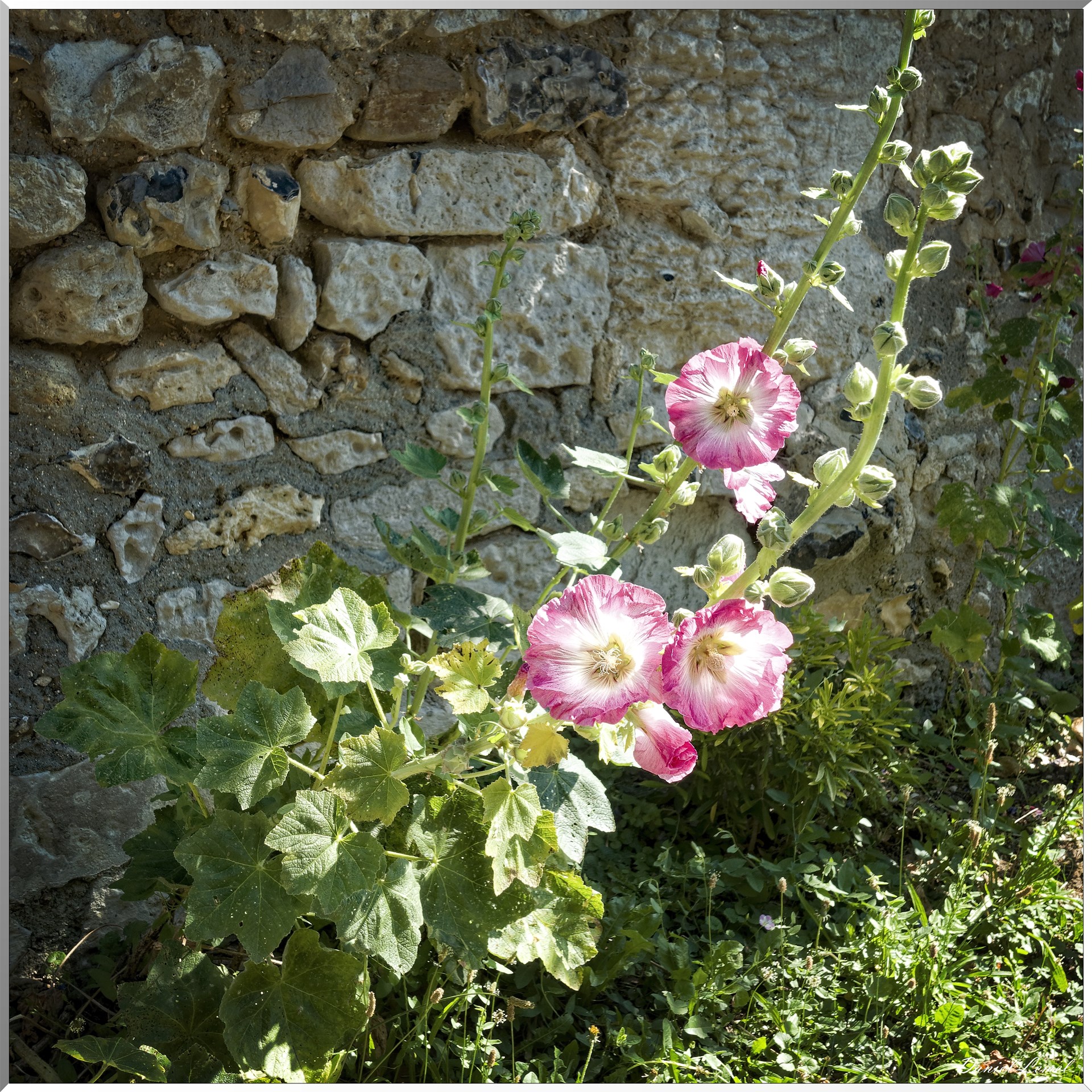 Pressagny l'Orgueilleux