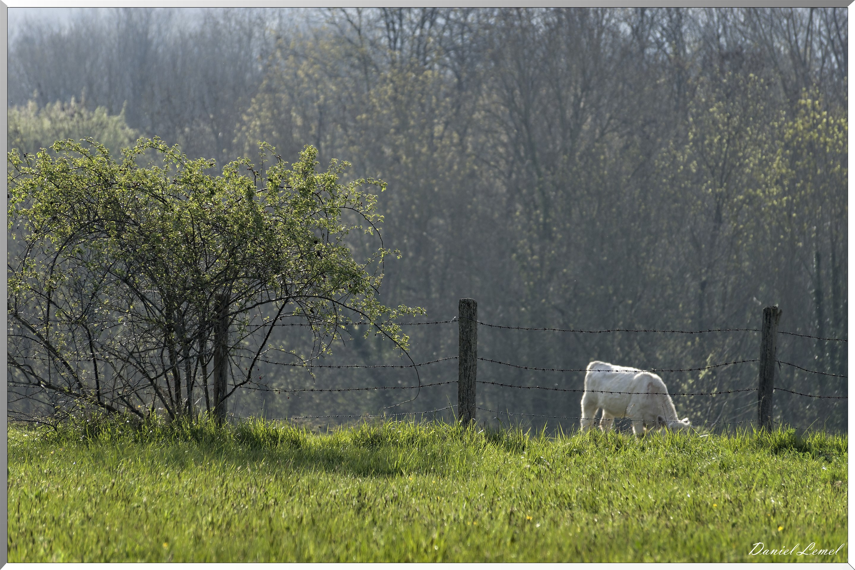Saint-Pierre-de-Bailleul