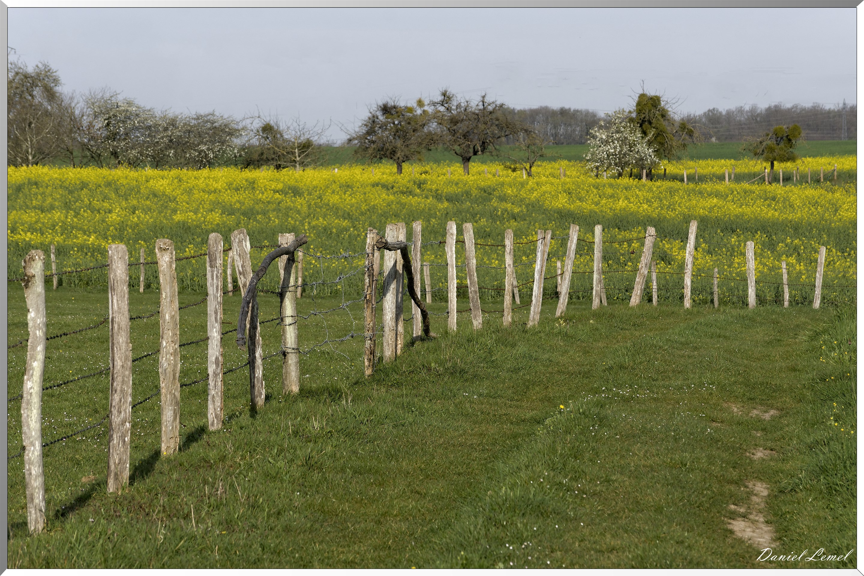 Saint-Pierre-de-Bailleul